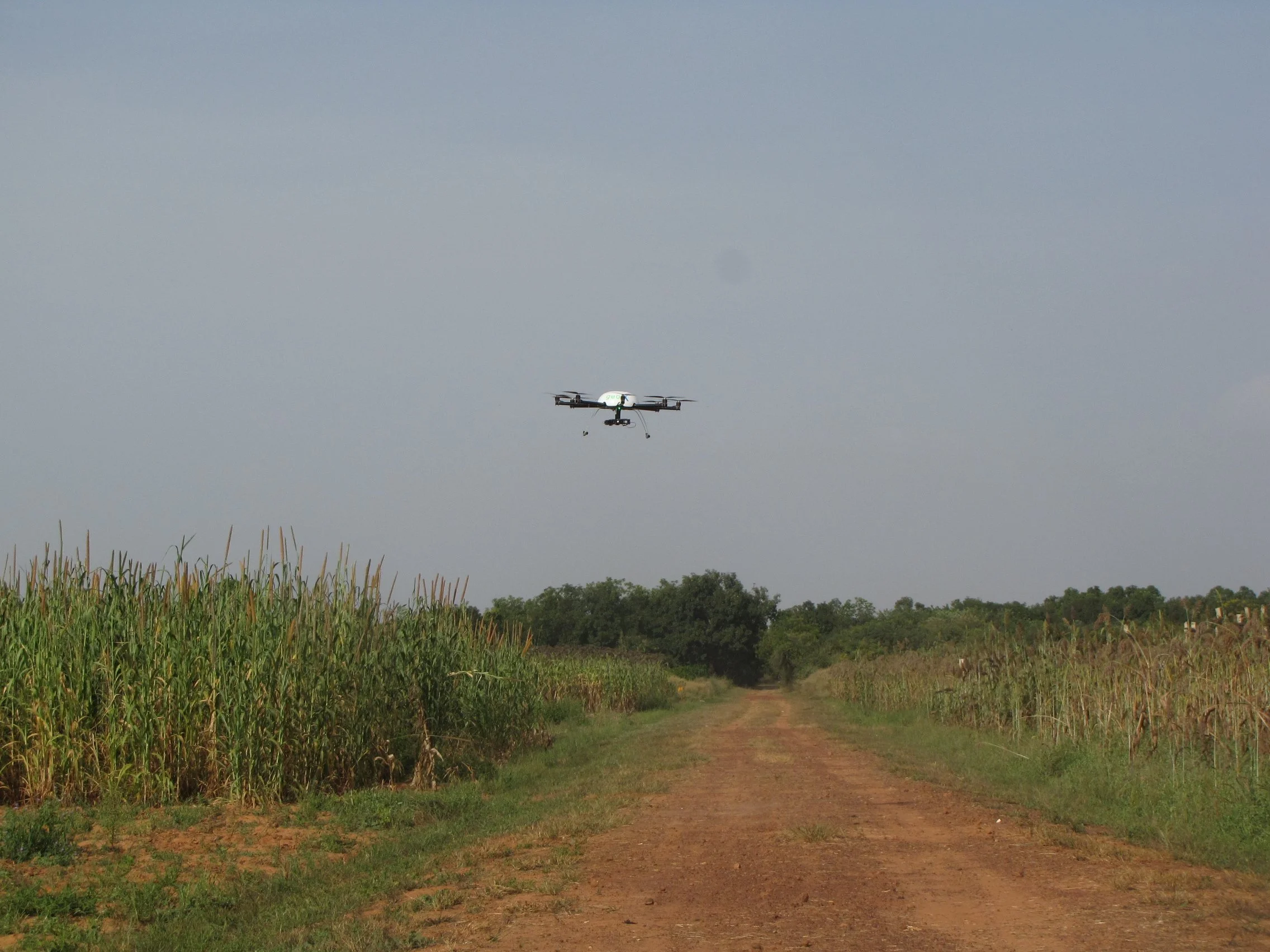 Koutiala, Mali 2014