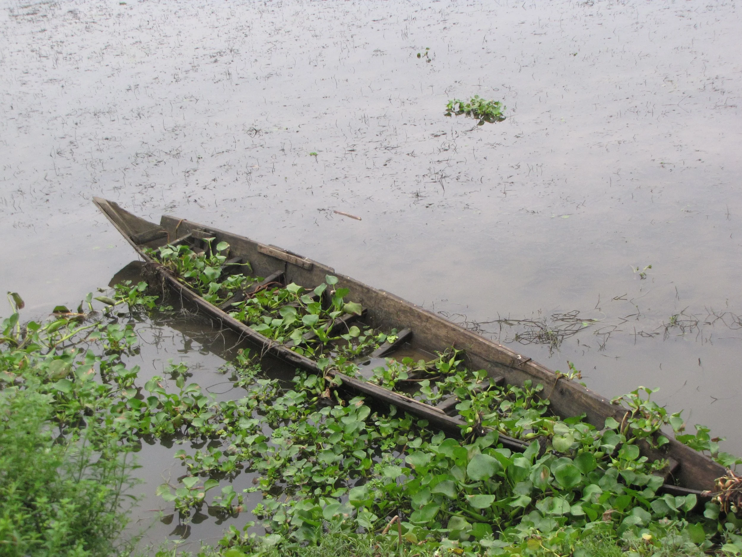 Khulna, Bangladesh 2012