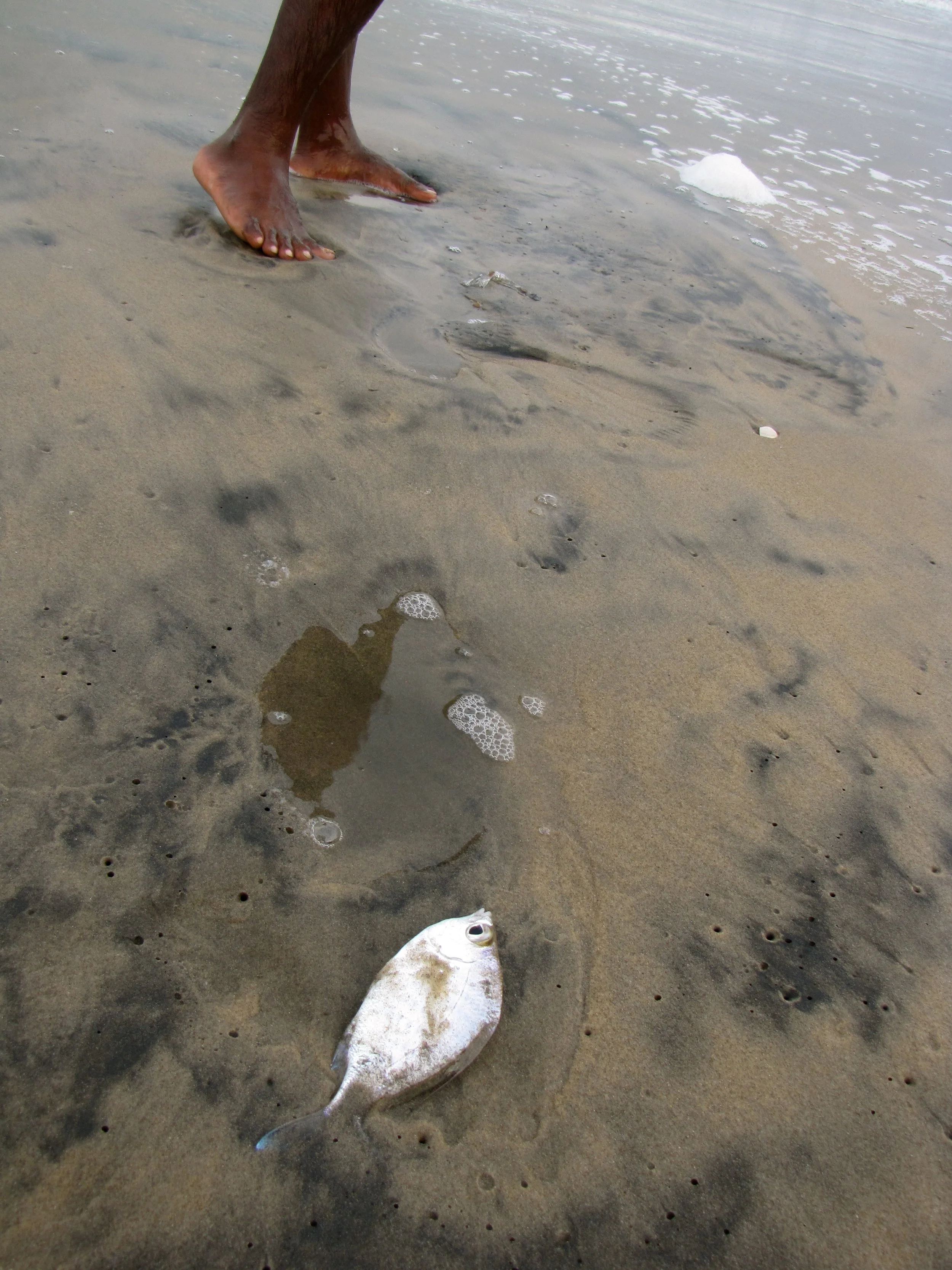 Konkan, India 2012