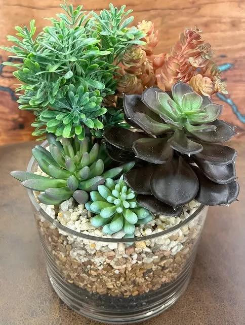 03-succulent-glass-bowl.jpg