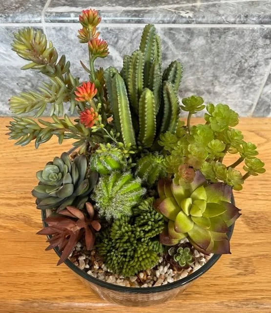 09-mixed-succulent-cactus-bowl.jpg