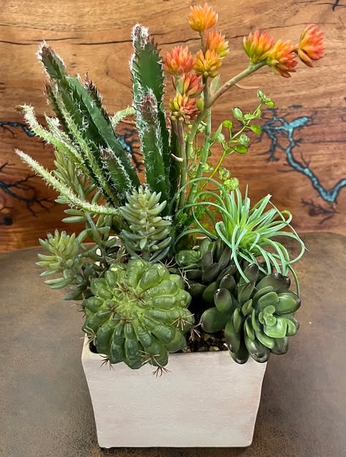 05-cactus-succulent-square-planter.jpg