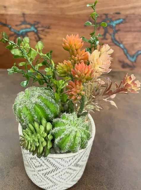 04-cactus-textured-pot.jpg