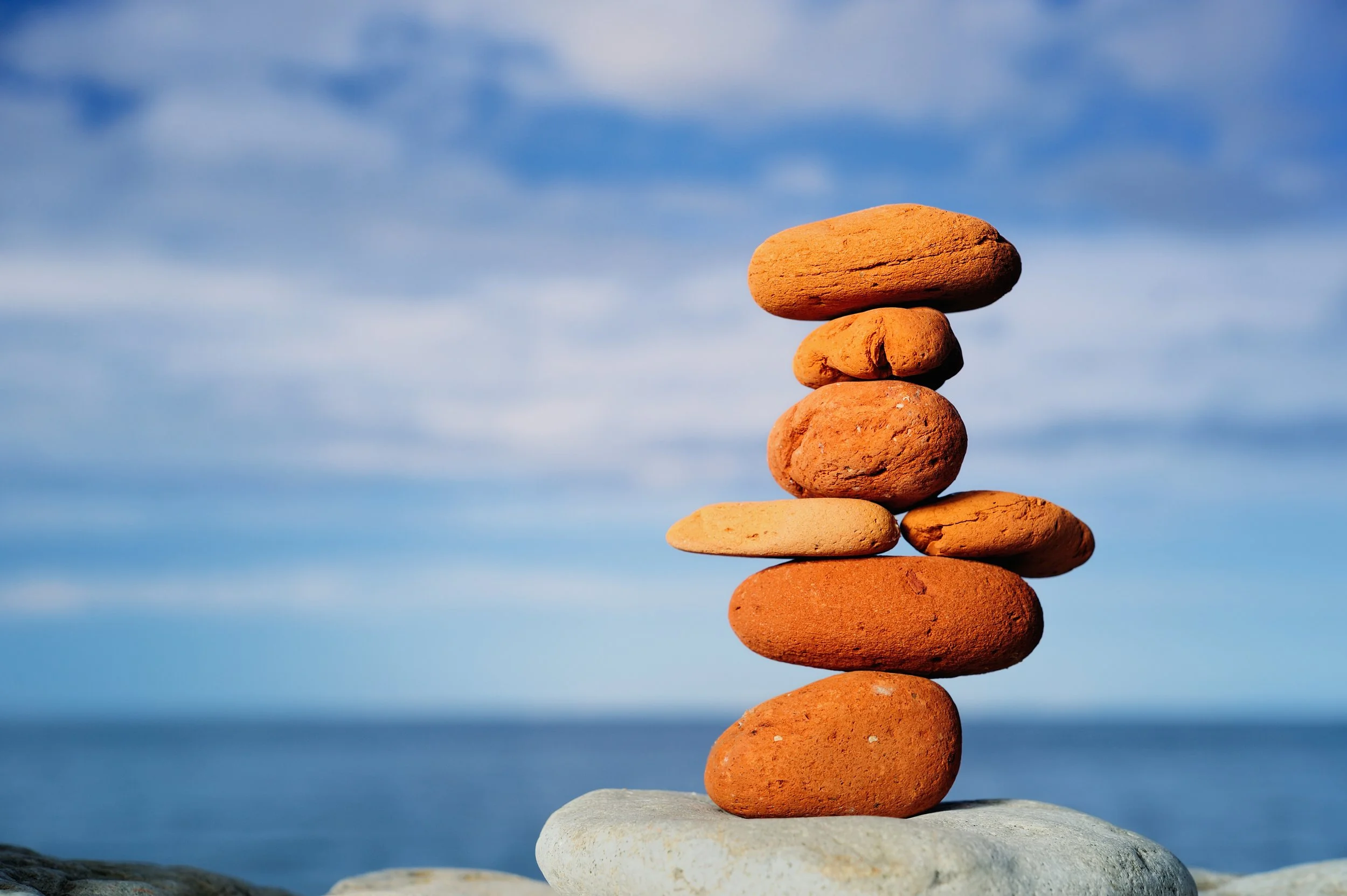 A Wavecrest Introductory Regulation Workshop Series 'Body Signals & Calming Tools'