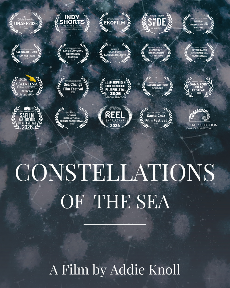 Poster for the film "Constellations of the Sea" by Addie Knoll, featuring a starry night sky with constellation awards and festival selections.