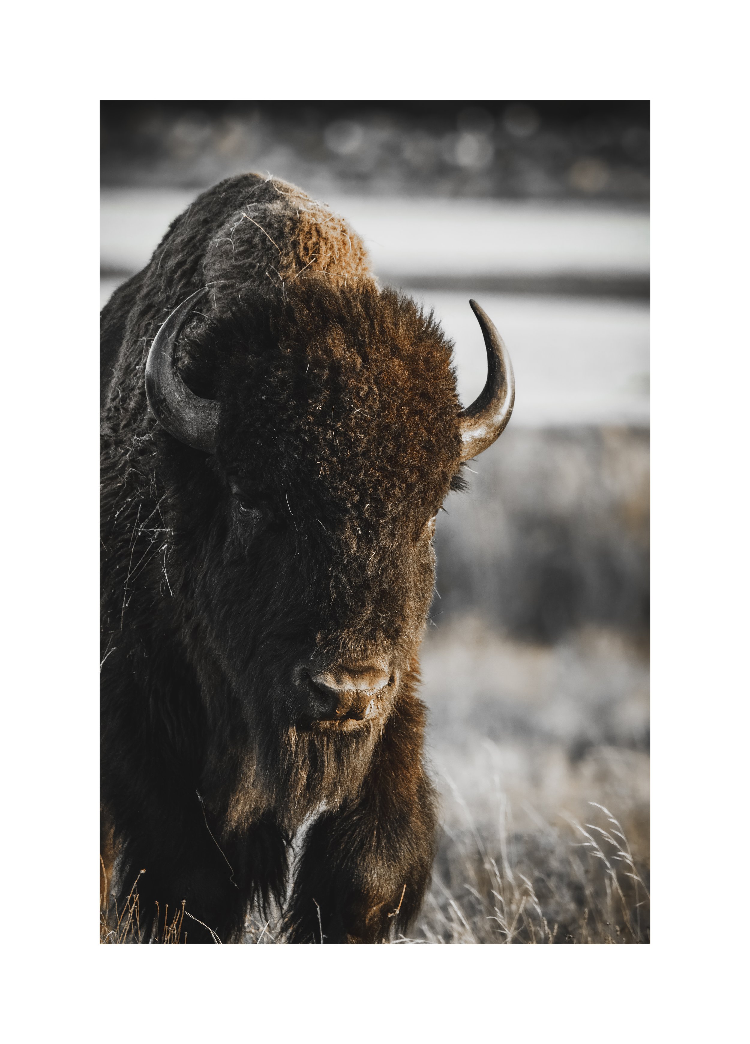 Getting Started: Deciding on a Hosting Site, and Lessons Learned