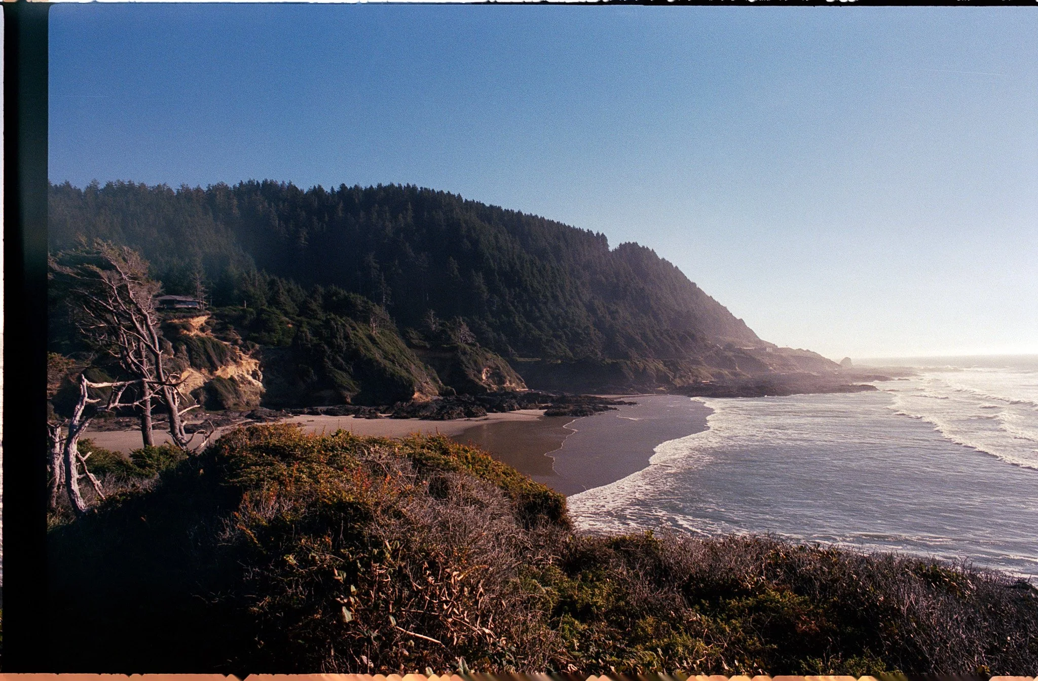 20261015_scan_662.jpg