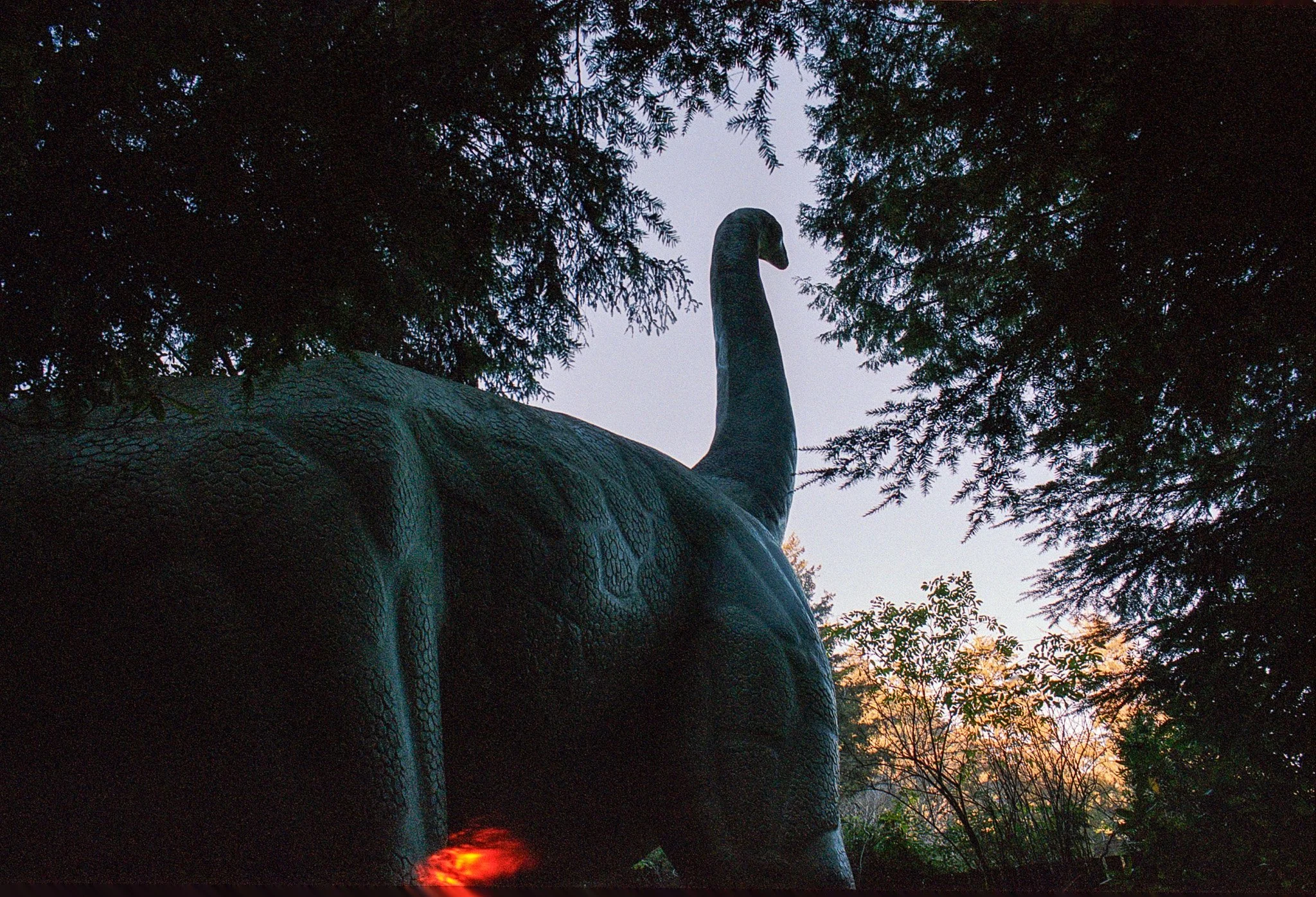 20261016_scan_758.jpg