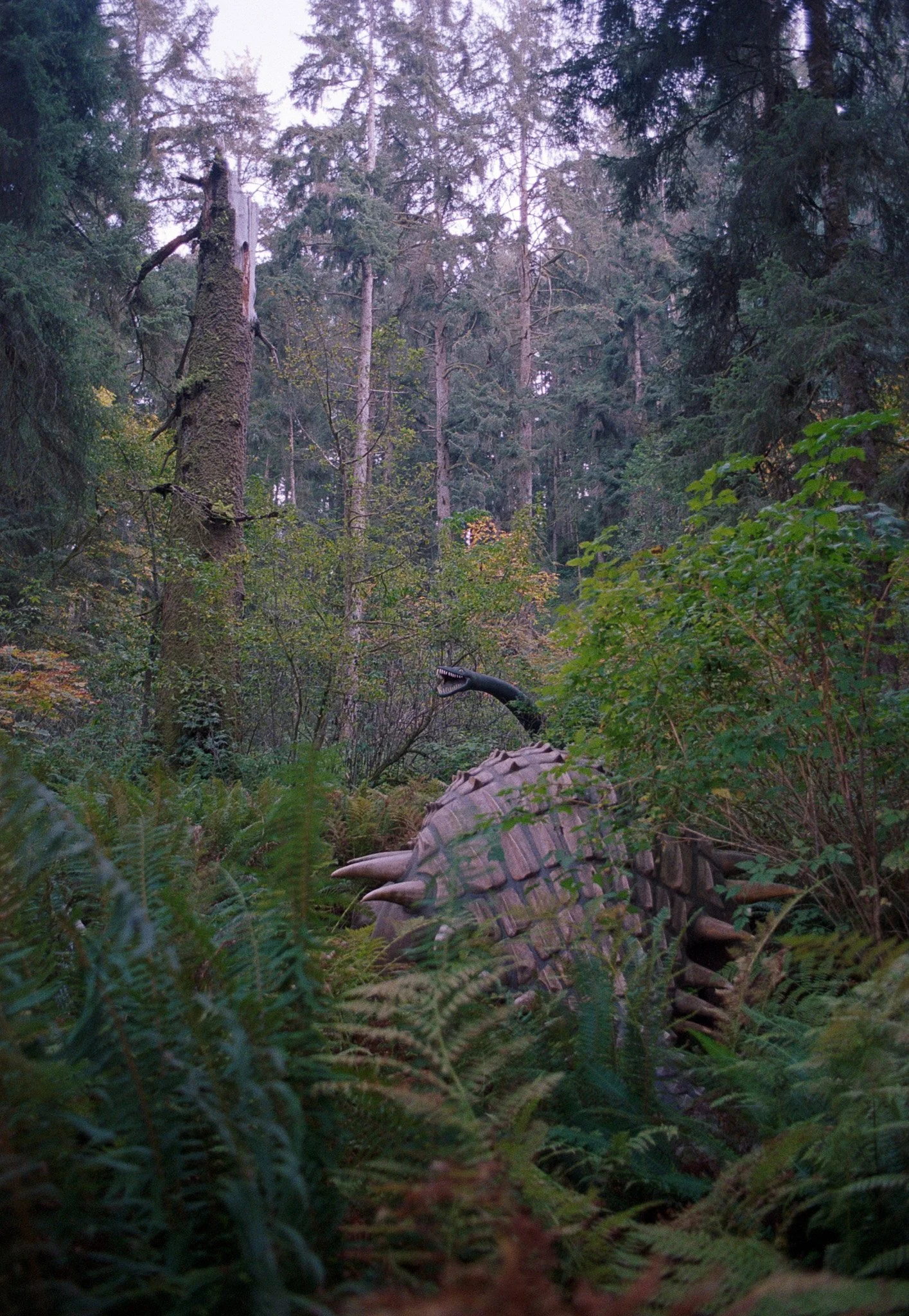 20261016_scan_722.jpg