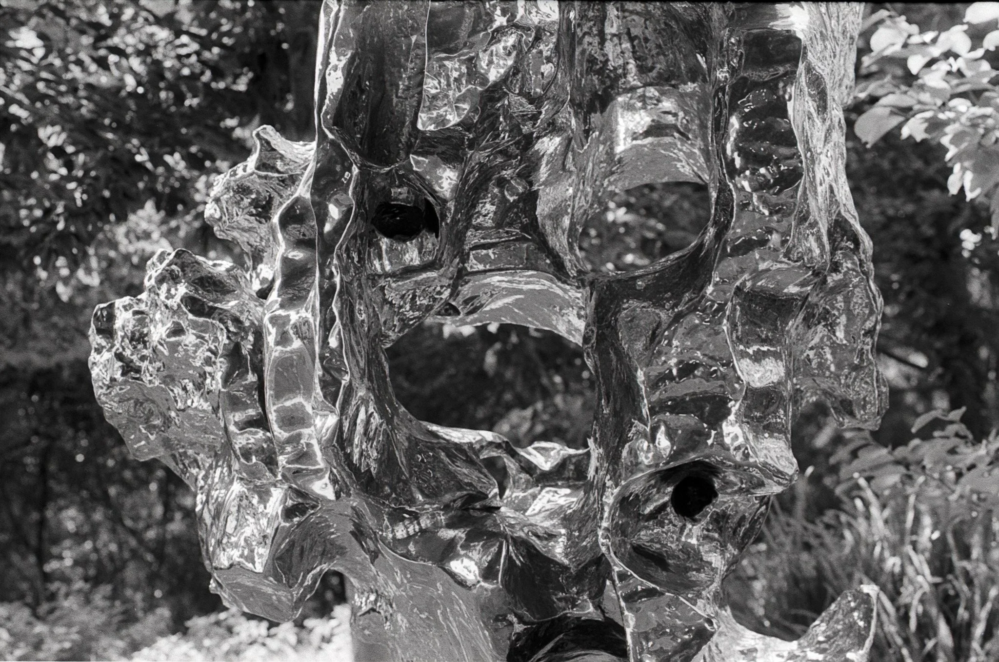 20261003_scan_599.jpg
