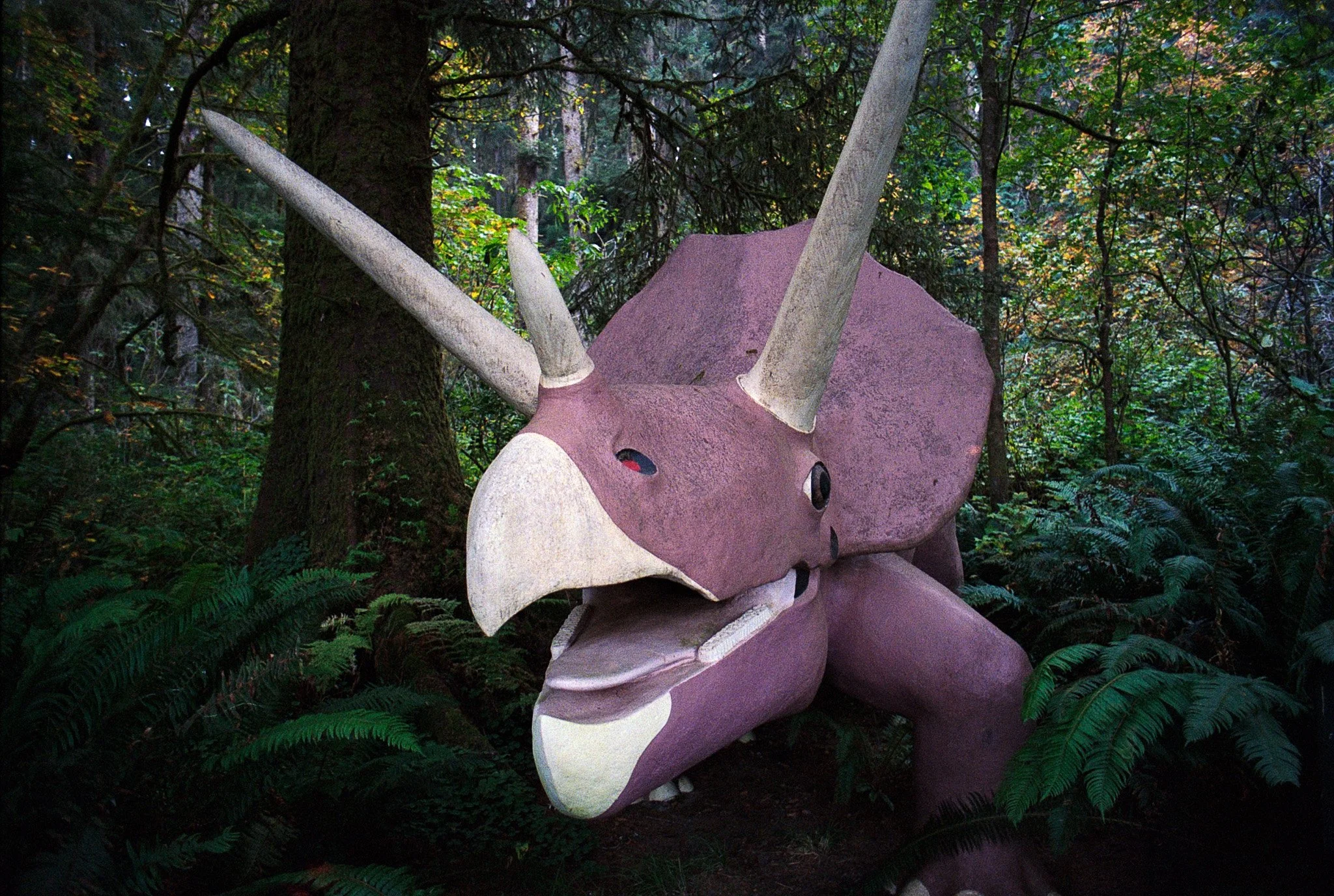 20261016_scan_726.jpg
