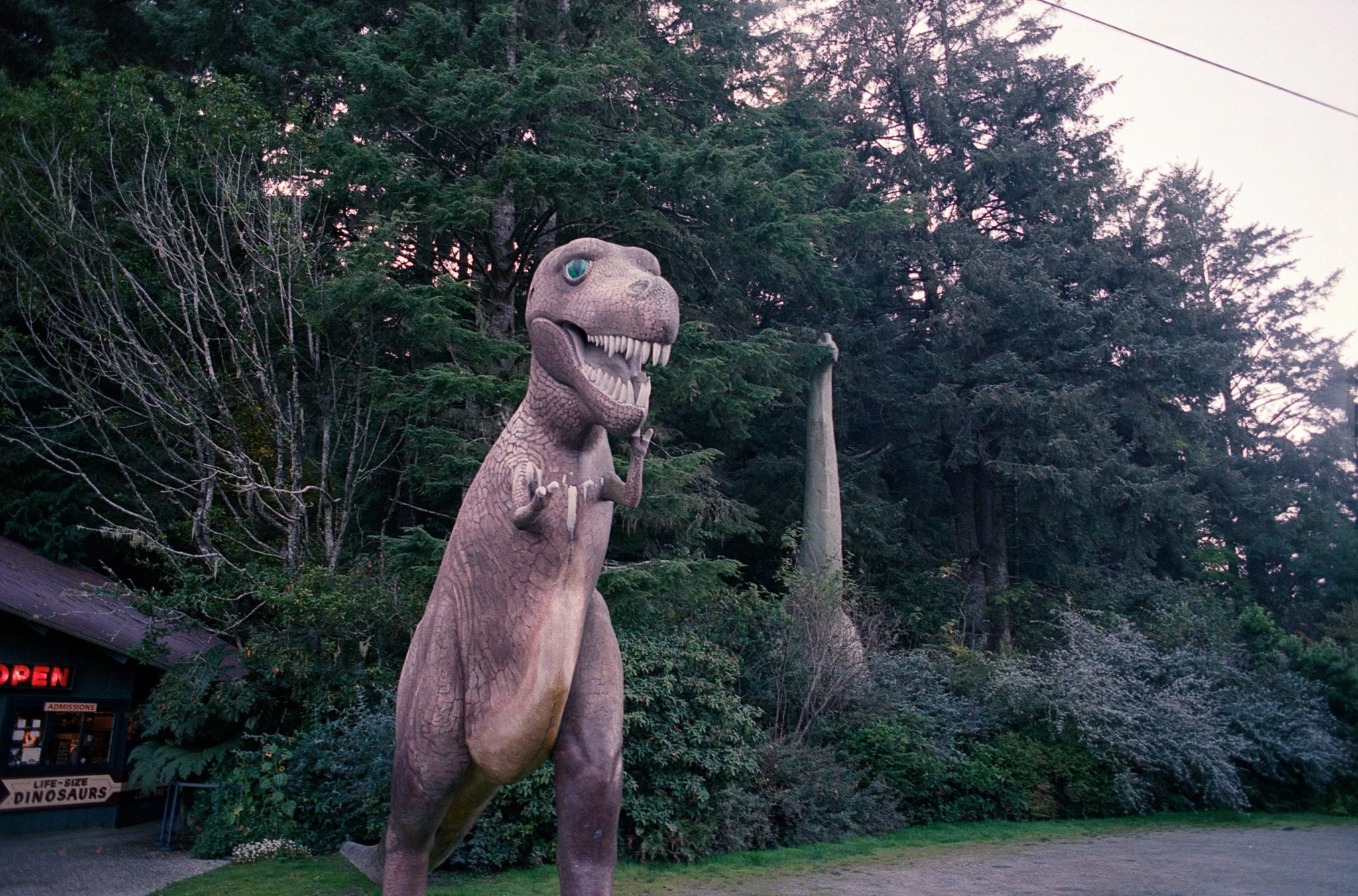 20261015_scan_718.jpg