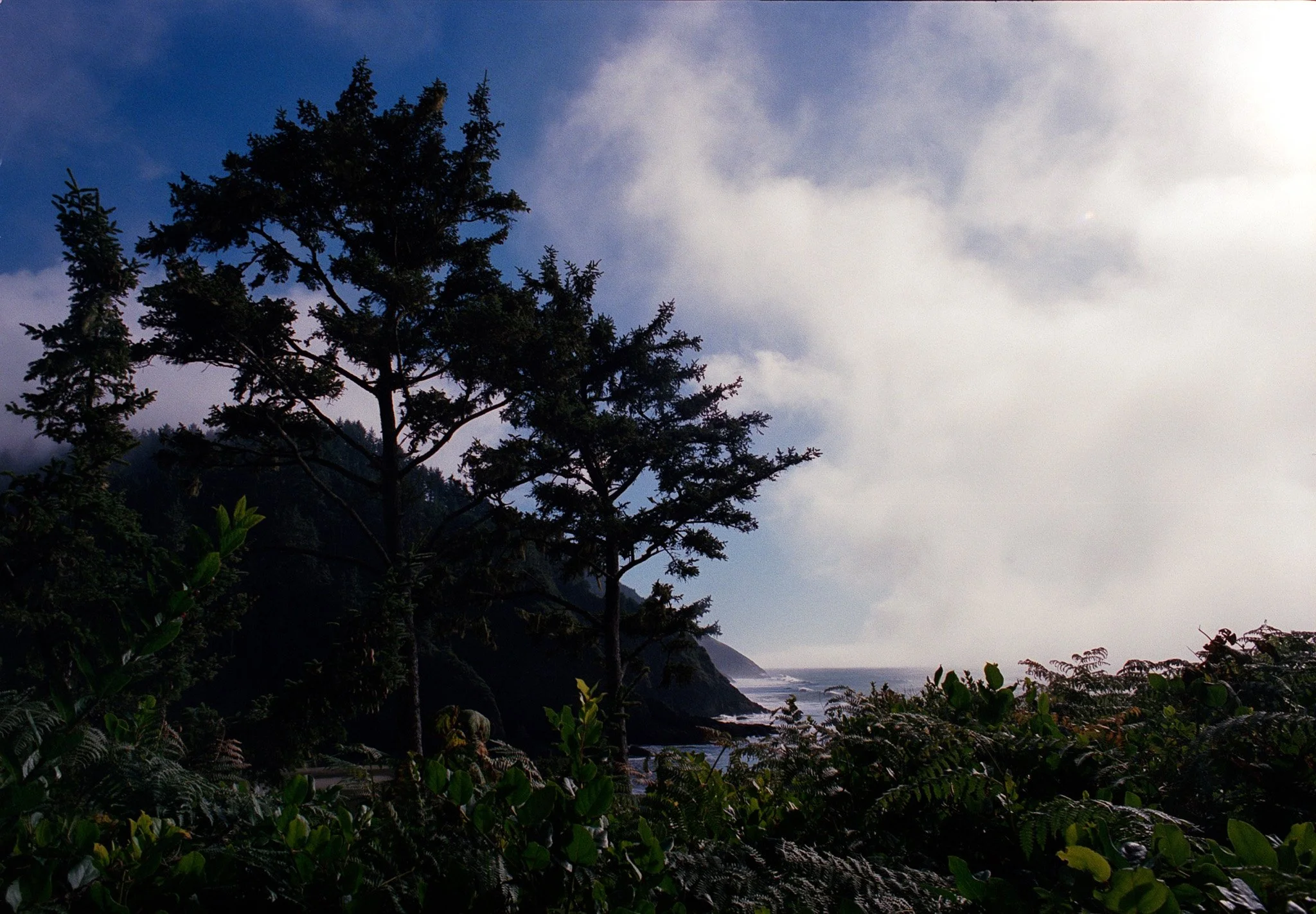 20261015_scan_650.jpg