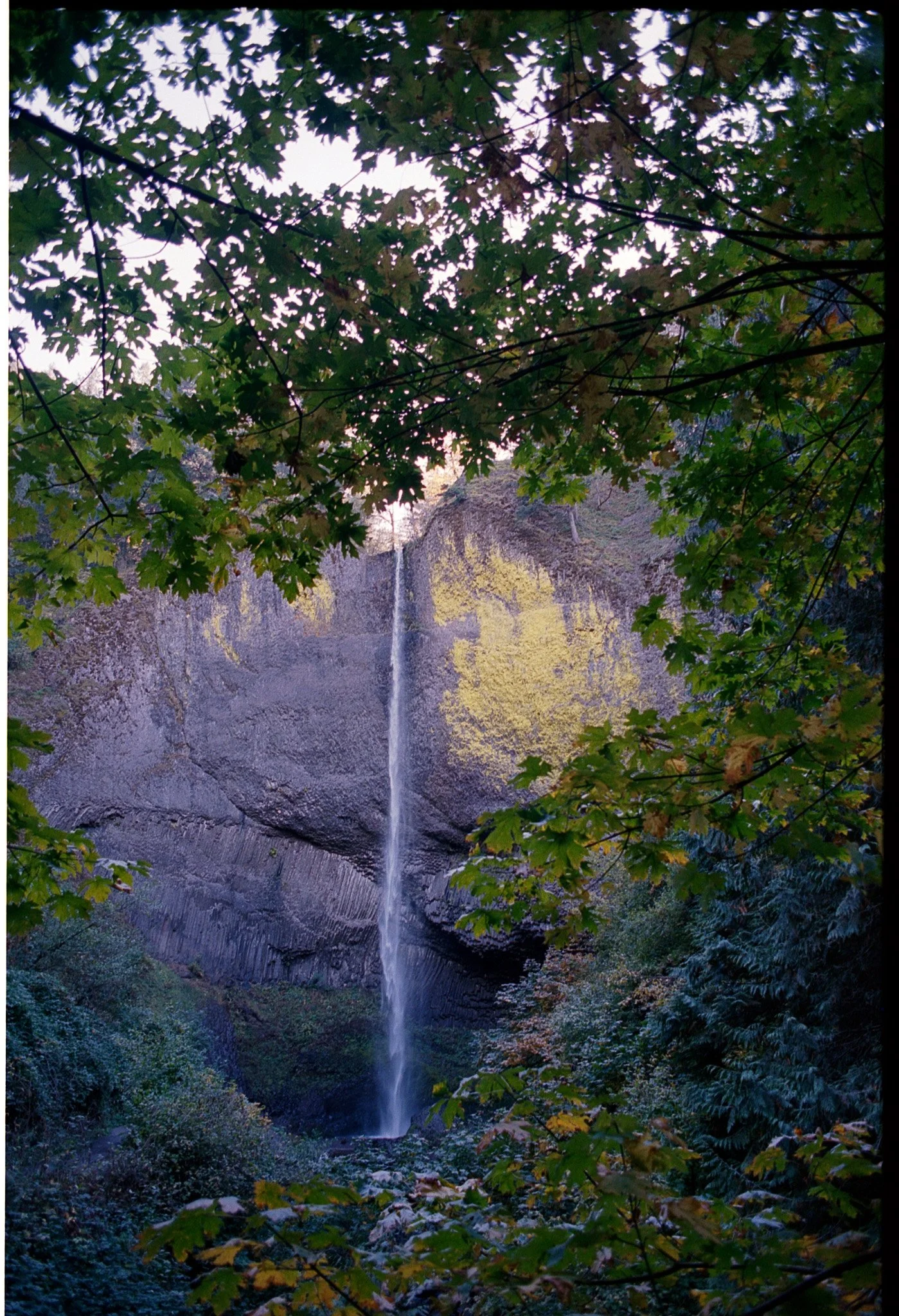 20261015_scan_661.jpg