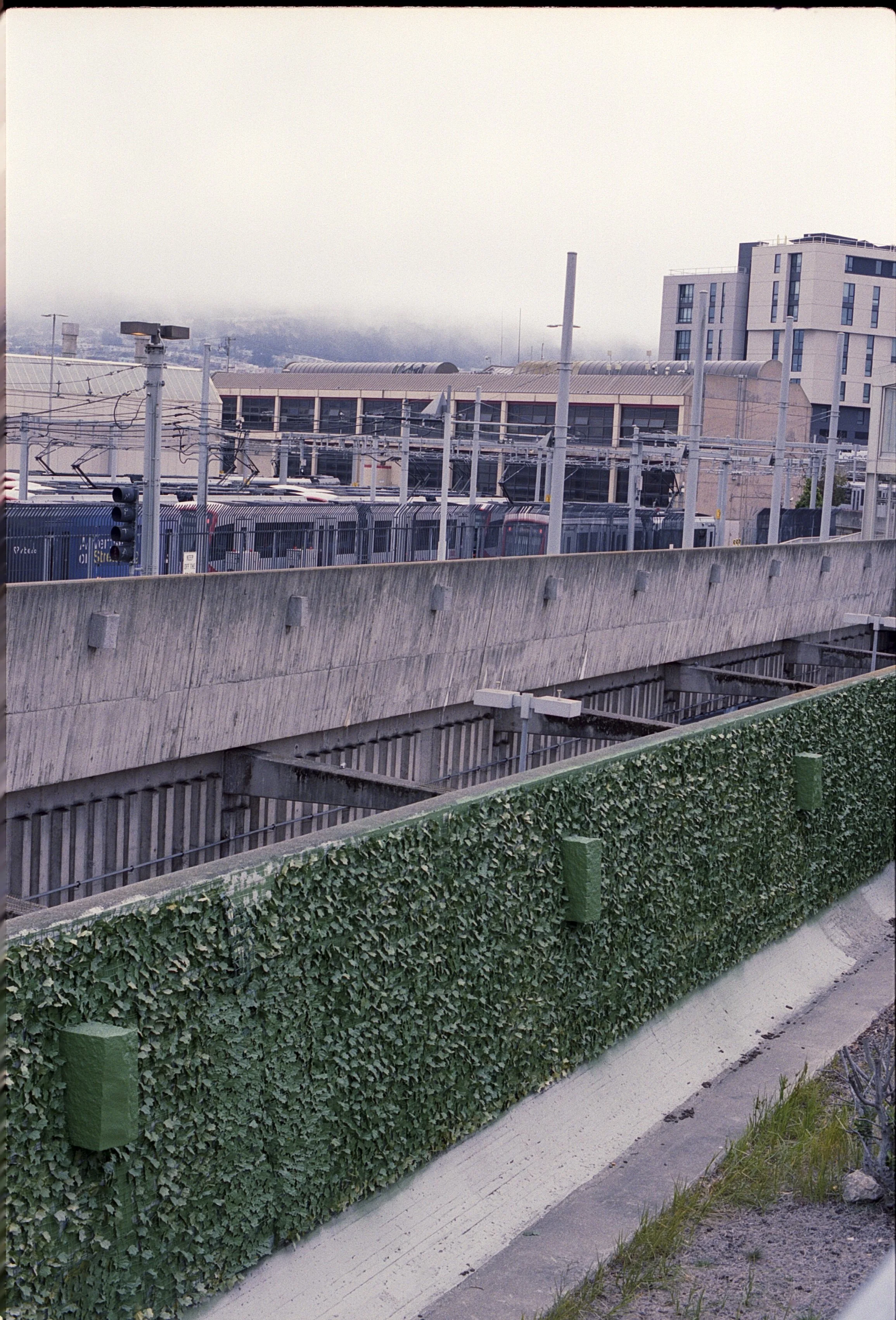 green_wall.jpg