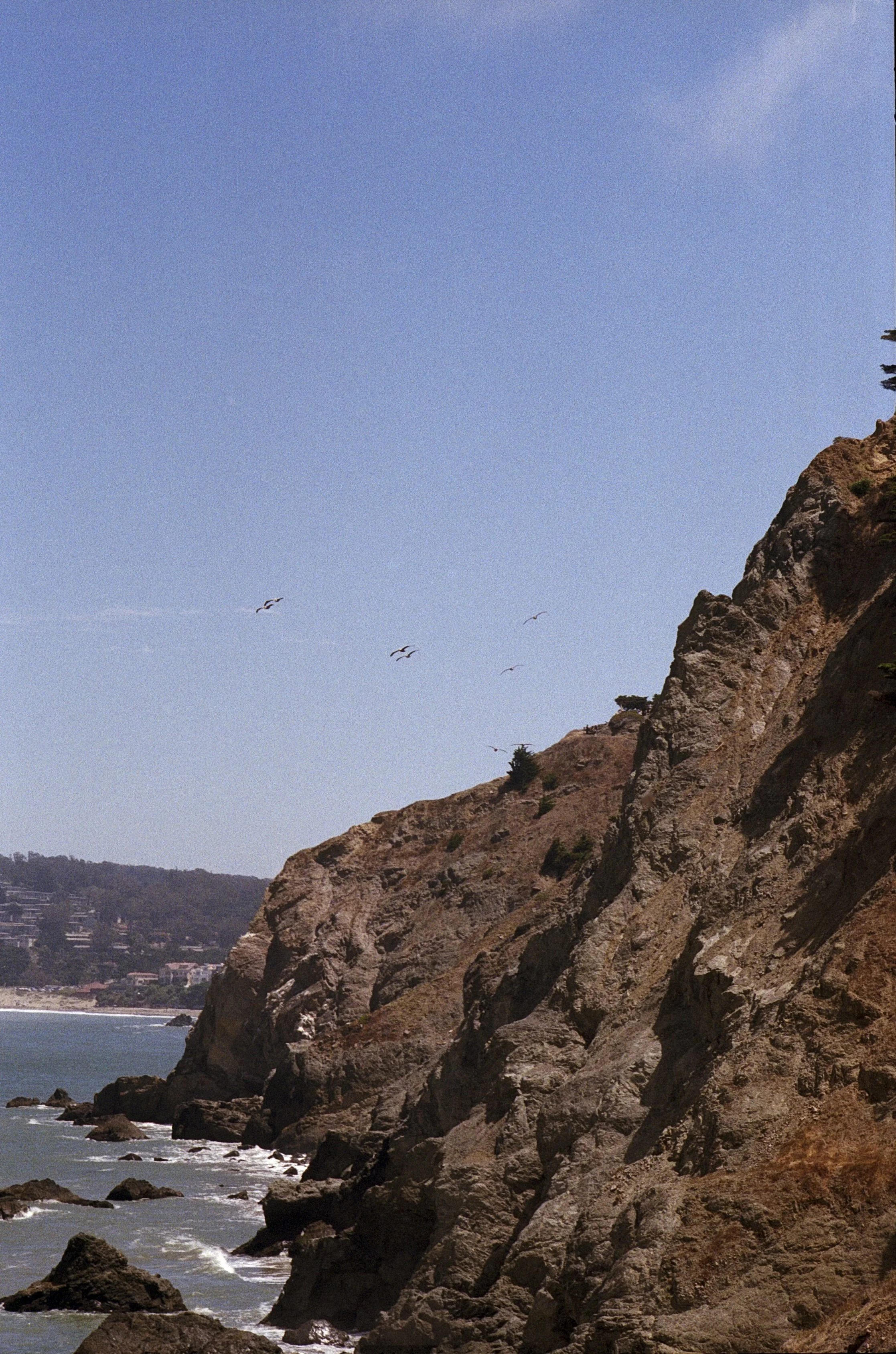 birds_on_the_cliff.jpg
