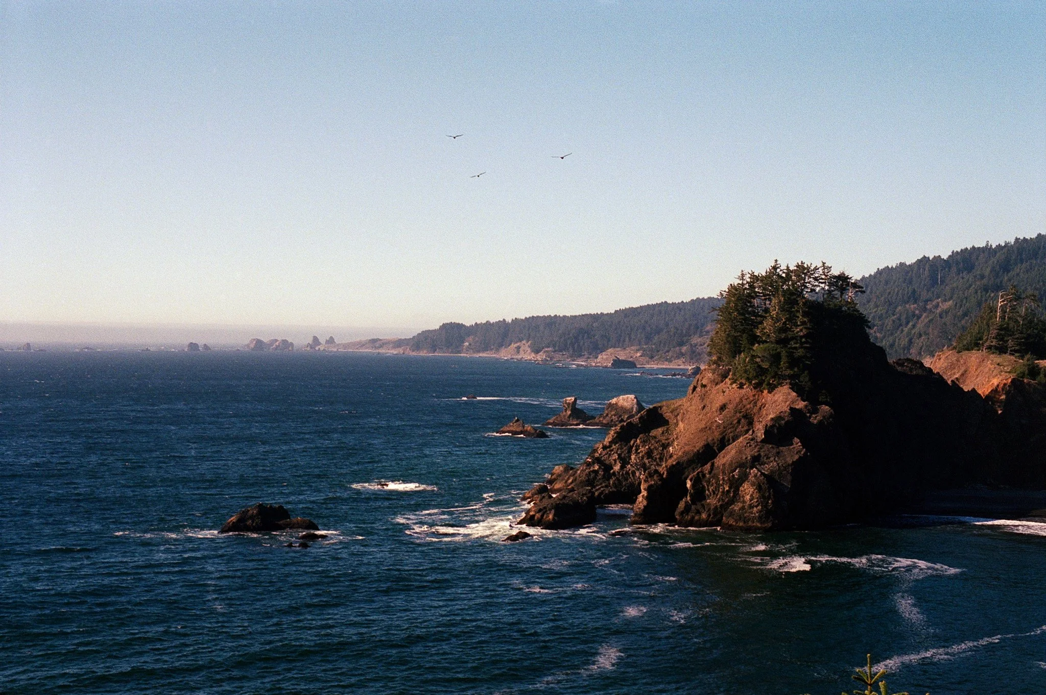 20261015_scan_713.jpg