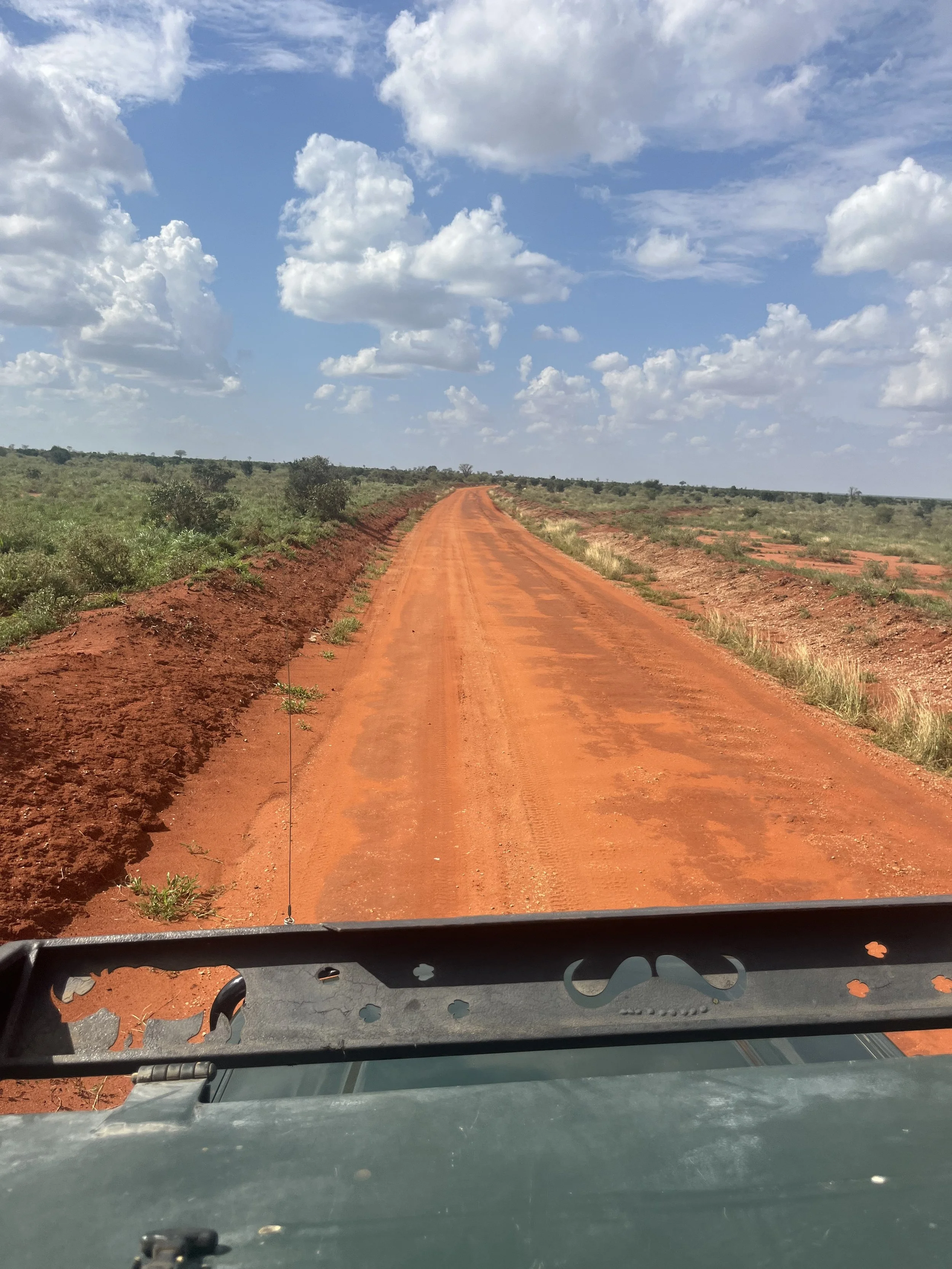 A dirt road stretches into the distance through an open landscape with sparse bushes under a partly cloudy sky.