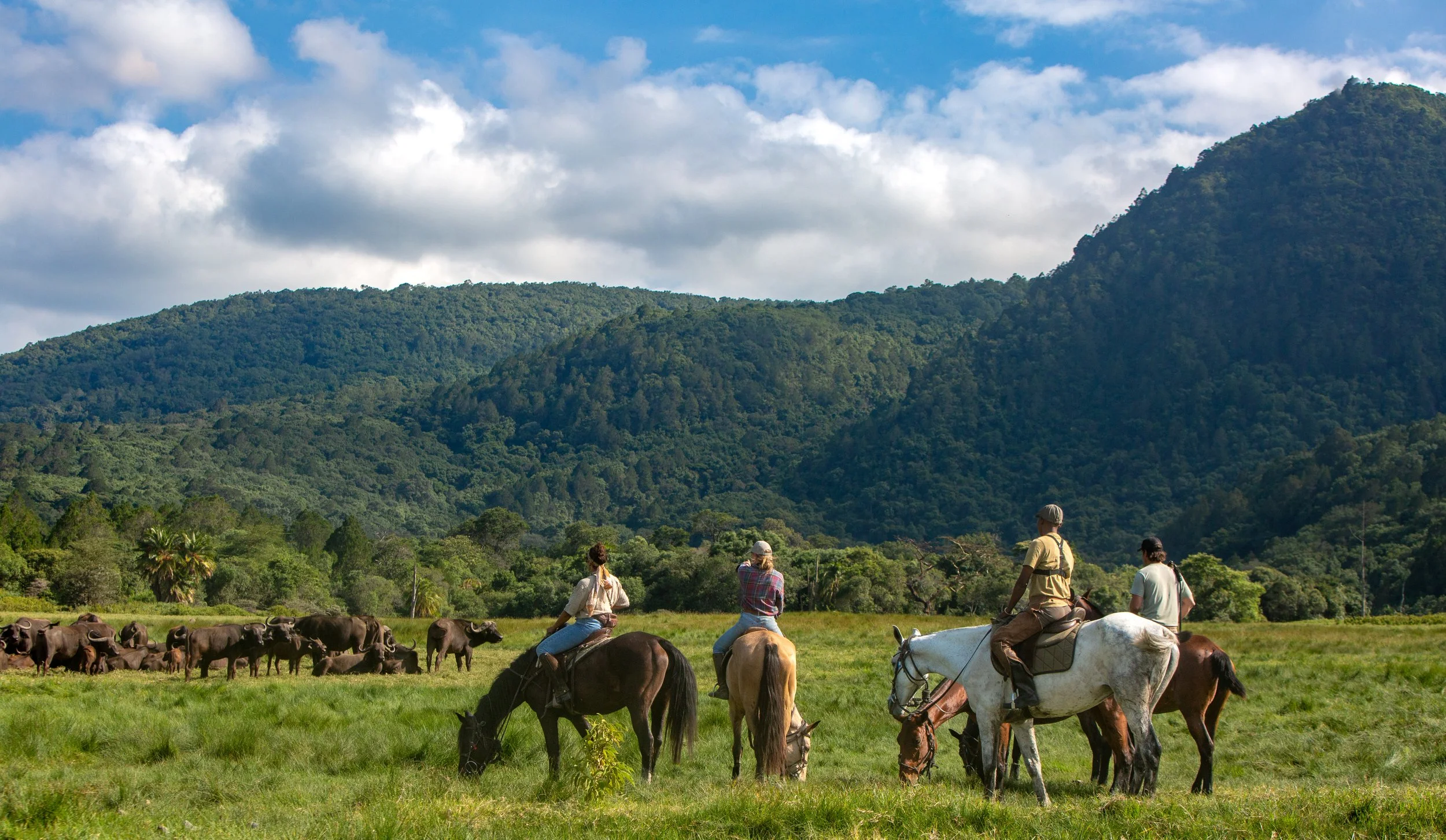 Riders on horseback below the forested slopes of Mount Meru