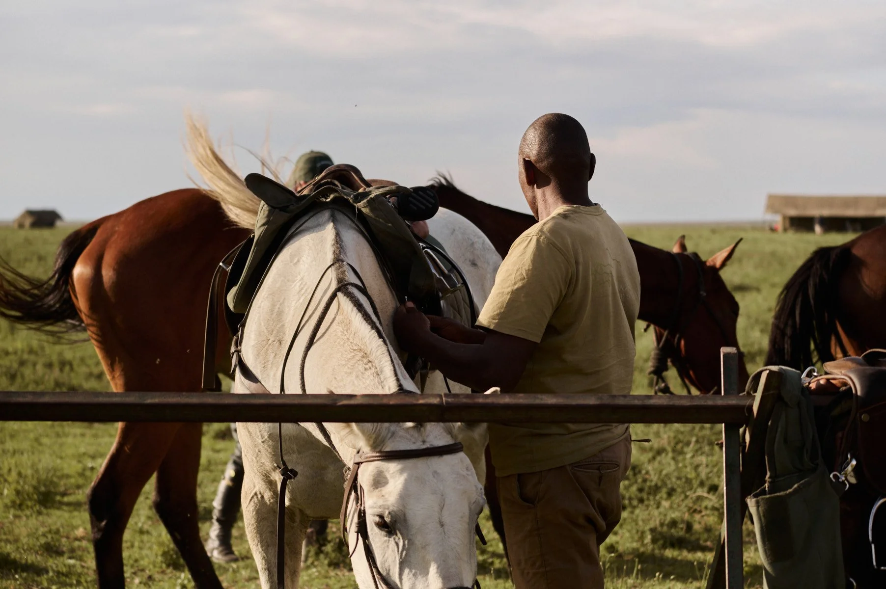 Serengeti_0394.jpg