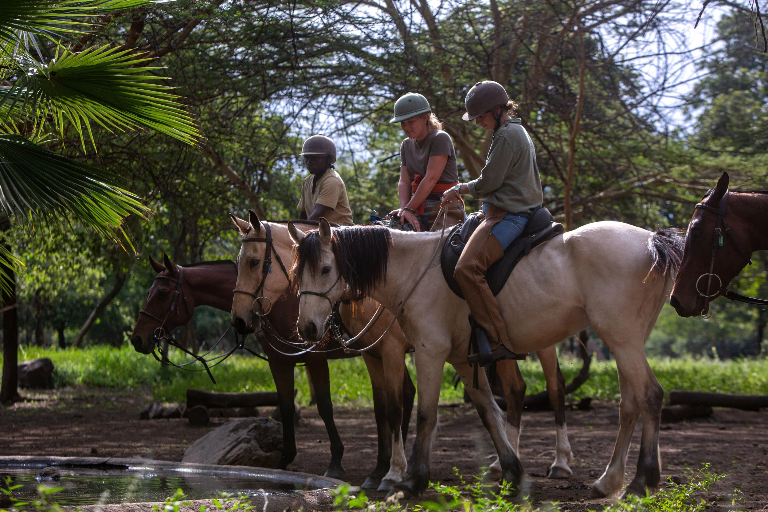 Riders on horseback in the forest on the Estate Bush Ride near Arusha