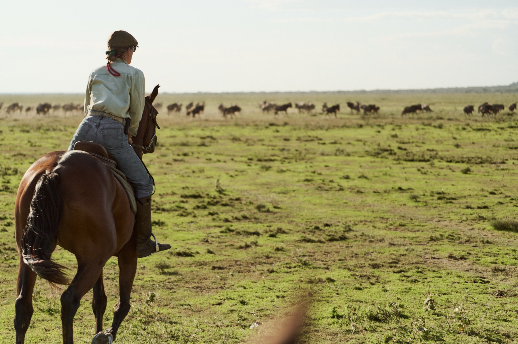 Serengeti_0303.jpg