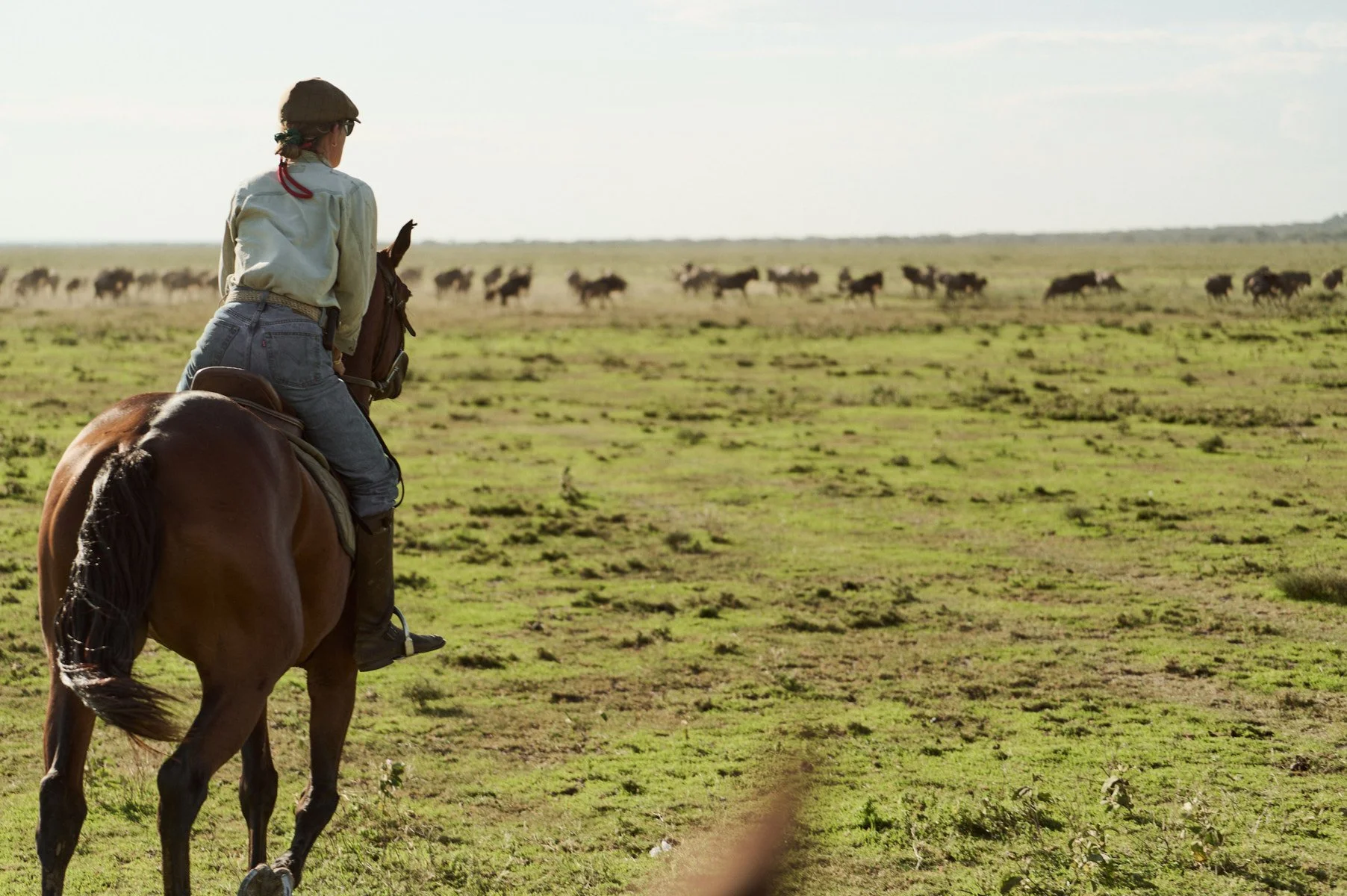 Rider on horseback facing the wildebeest herds in the Serengeti