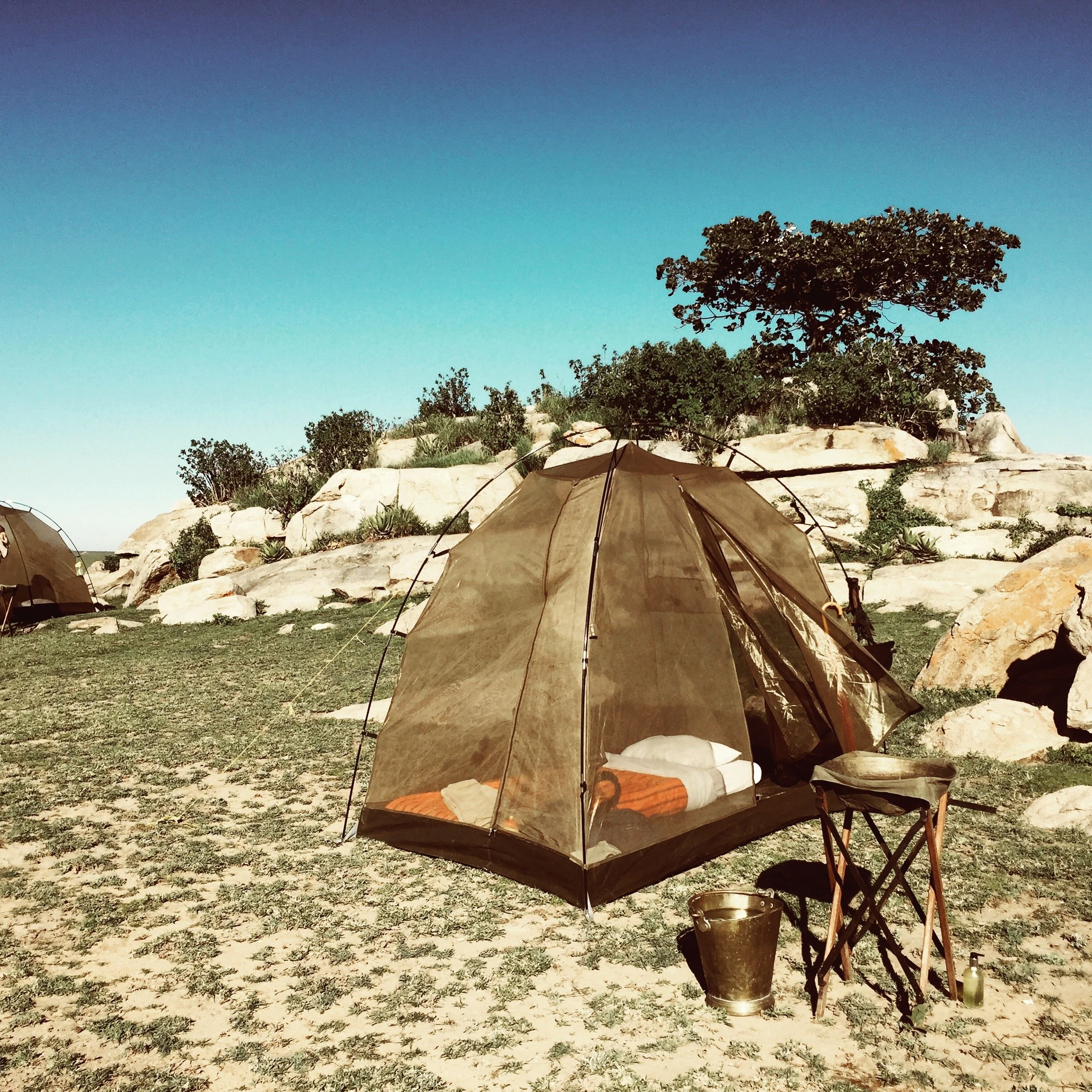 Light fly camp background pic .jpg