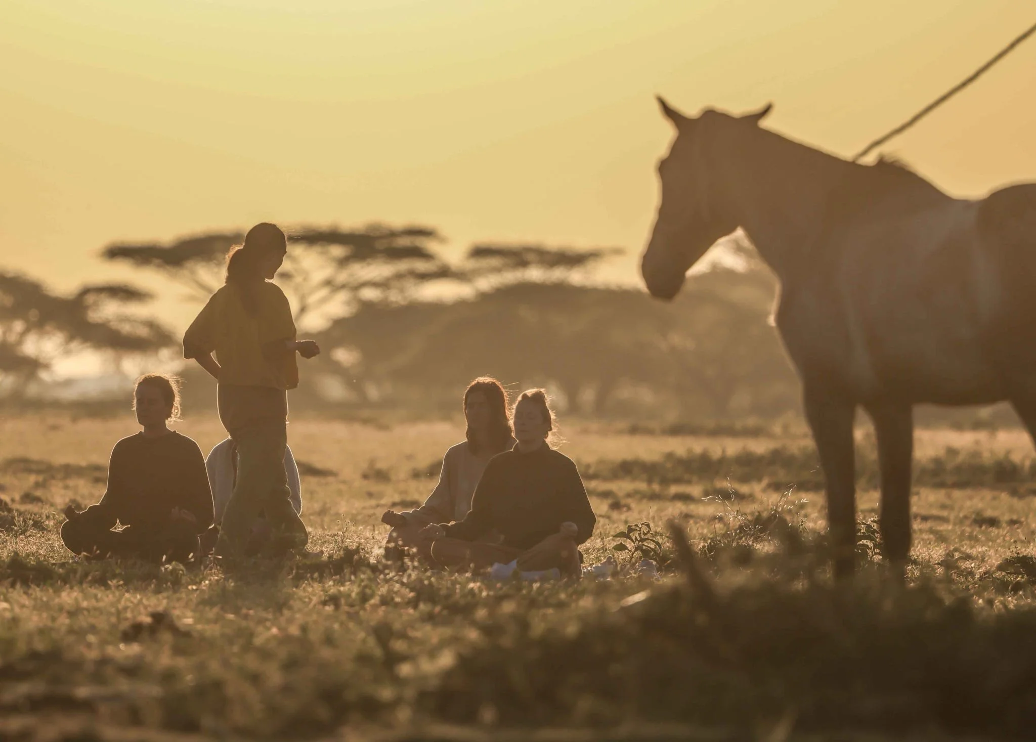 Yoga at sunrise beside the horses on a horse safari in Tanzania