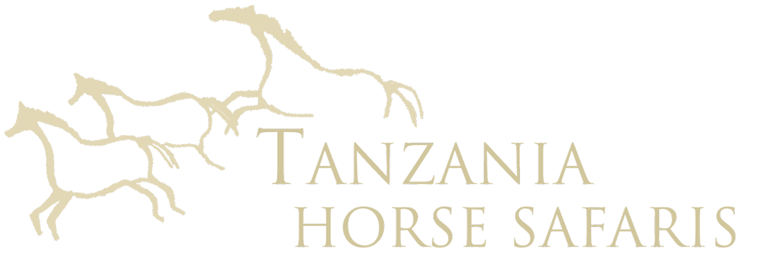 Tanzania Horse Safaris