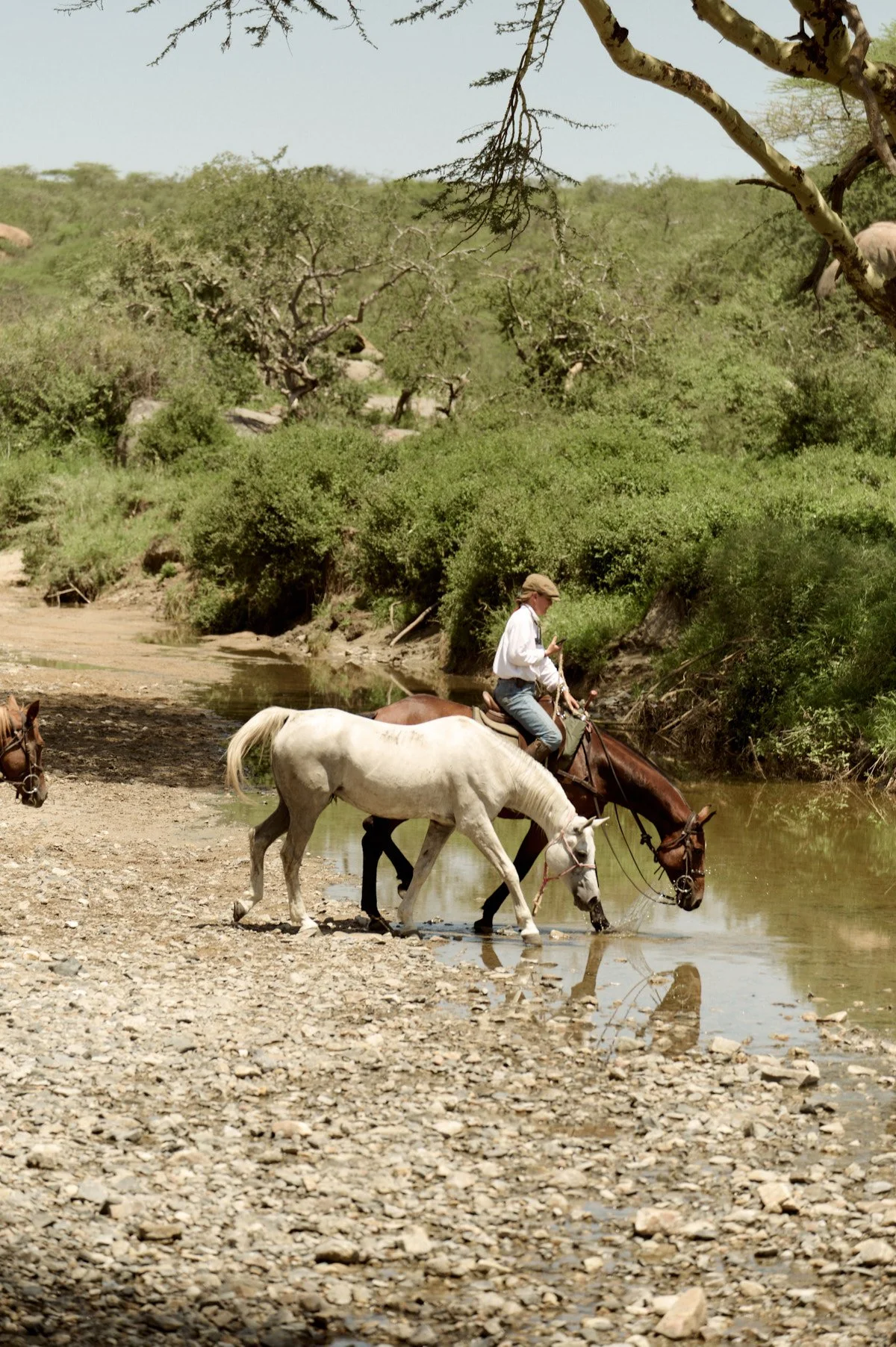 Serengeti_0675.jpg