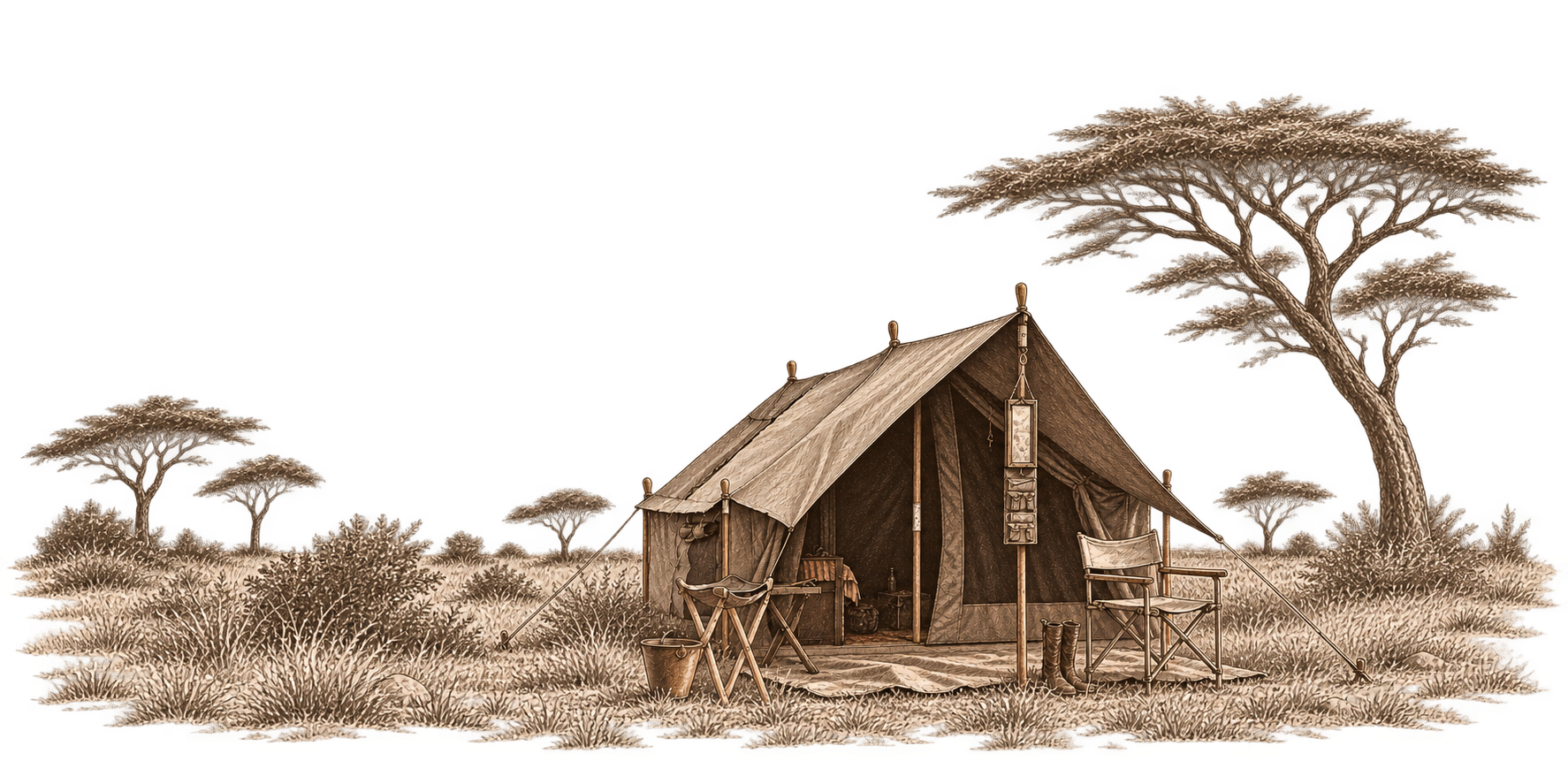 Pencil sketch of a safari tent beneath an acacia tree
