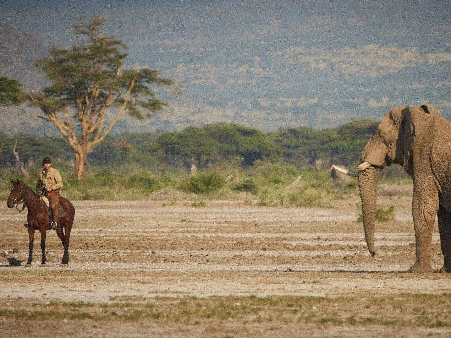Hansi on horseback facing an elephant near Kilimanjaro