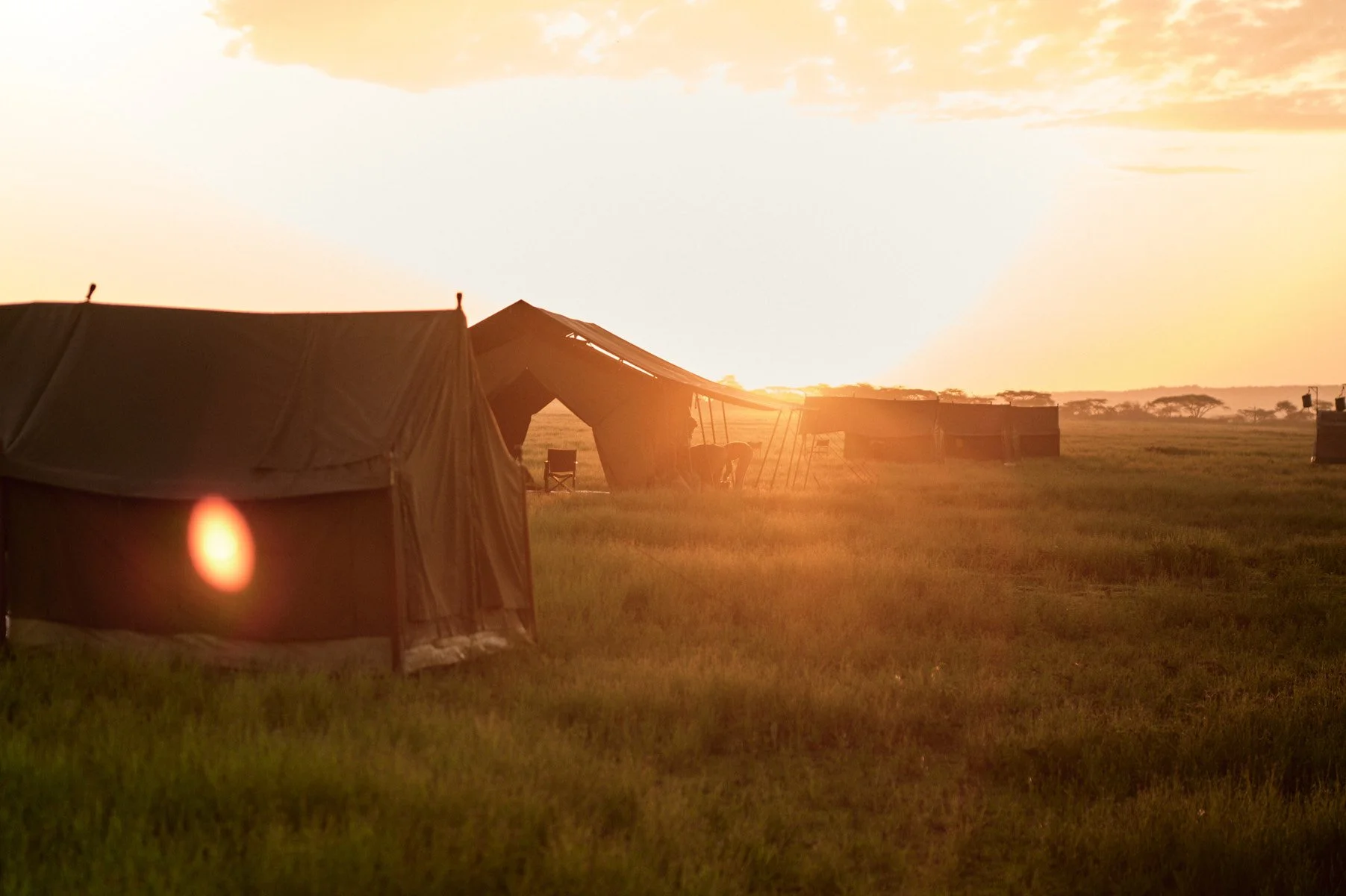 Serengeti_0776.jpg