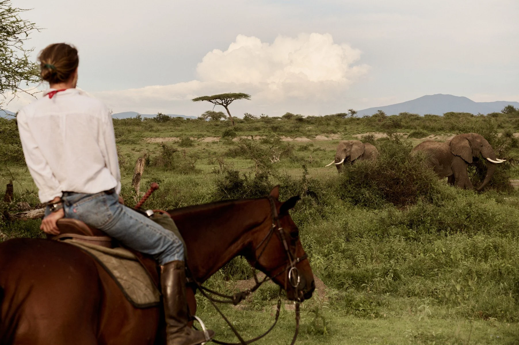 Serengeti_0538.jpg