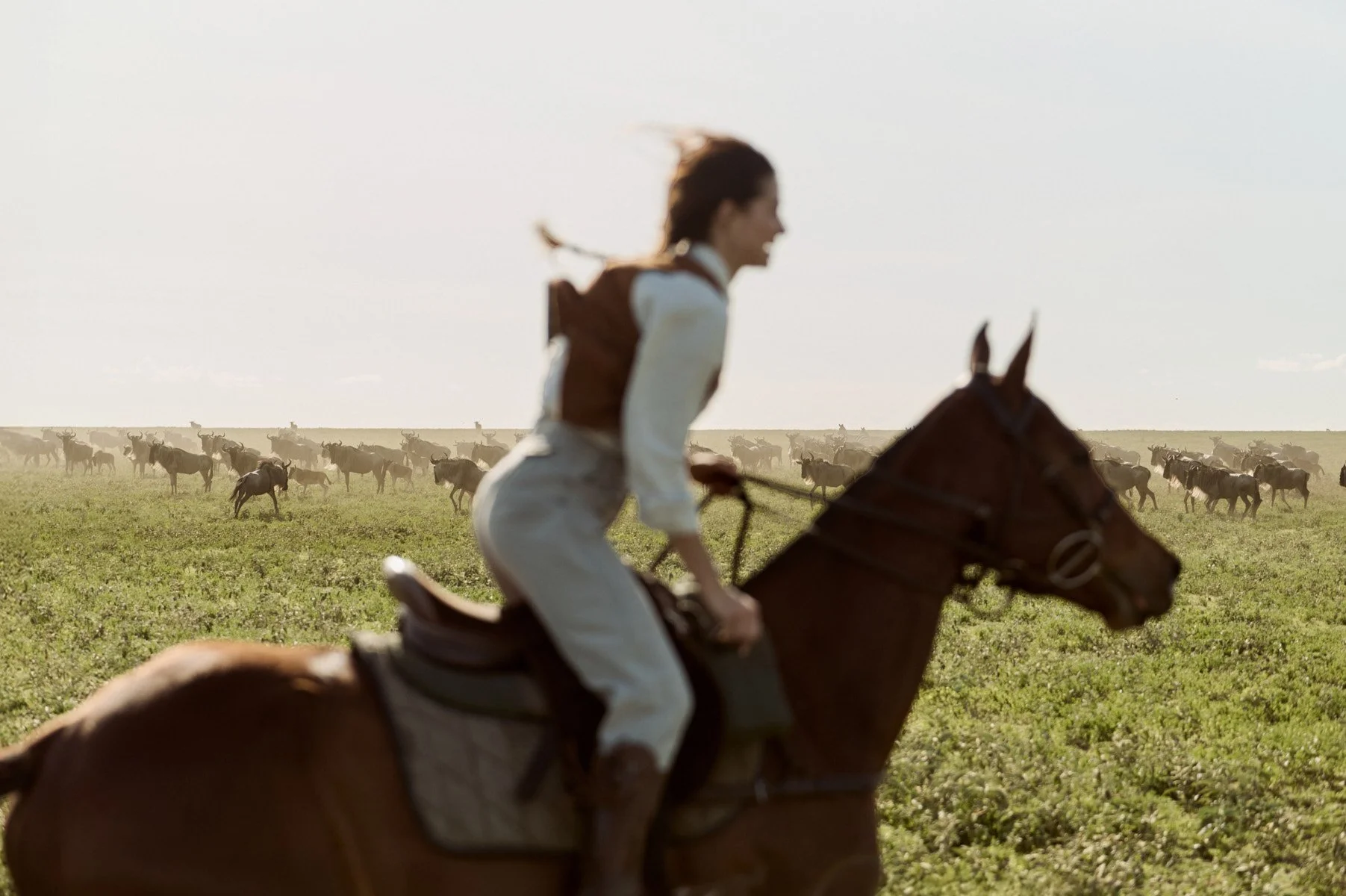 Rider on horseback among the wildebeest migration in the Serengeti