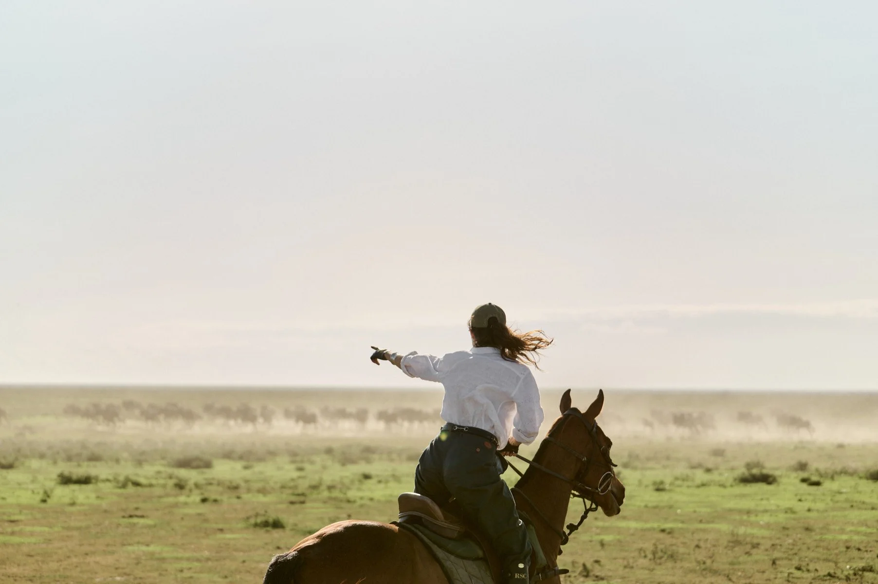 Serengeti_0309.jpg