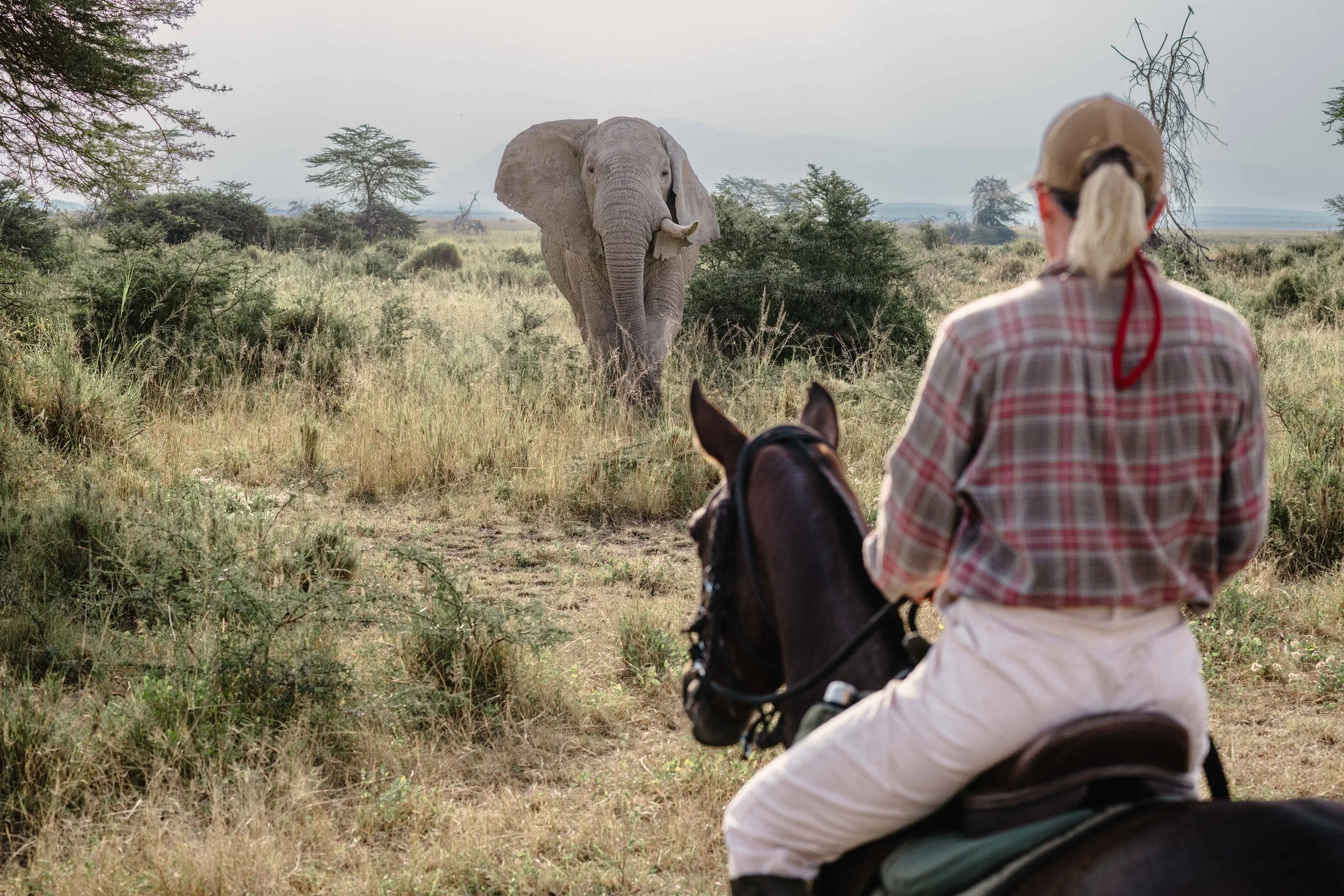 Kilimanjaro Elephant Ride 2025 (194 of 200).jpg