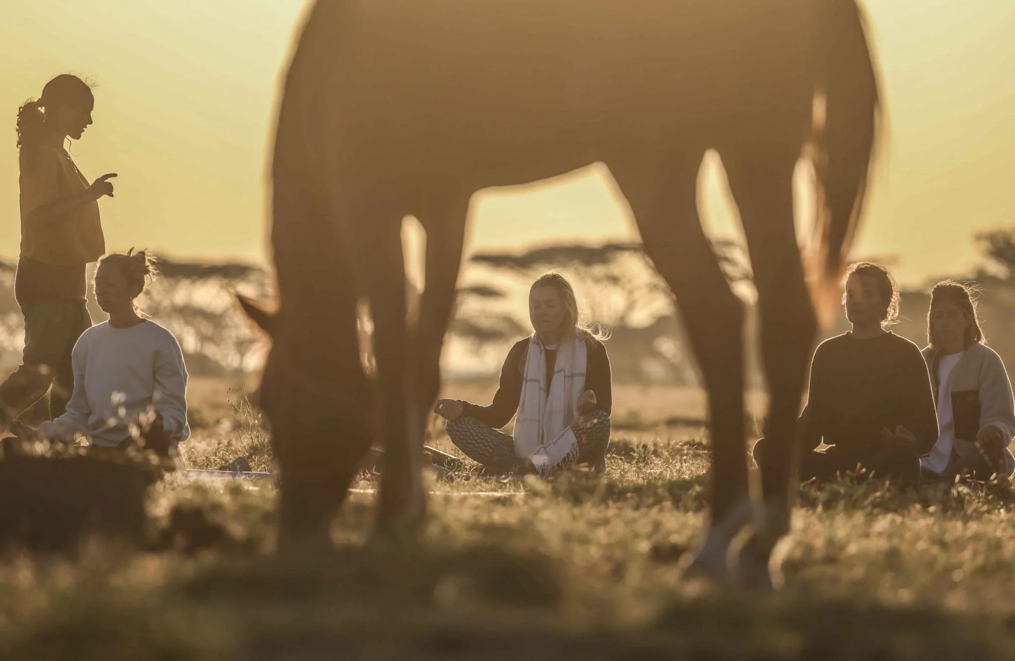 Guests doing yoga beside a horse at sunrise in Tanzania