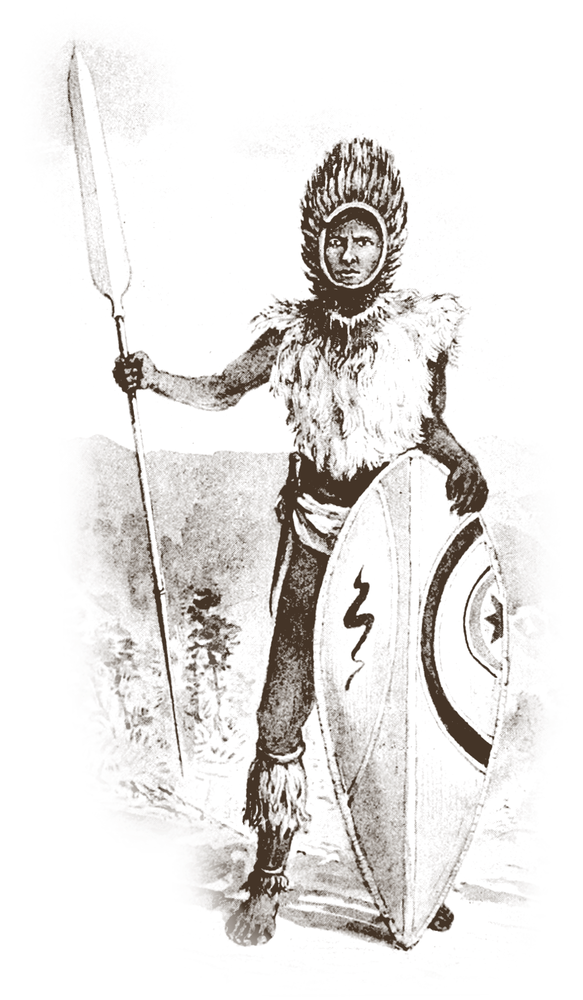Vintage engraving of a Maasai warrior with spear and shield