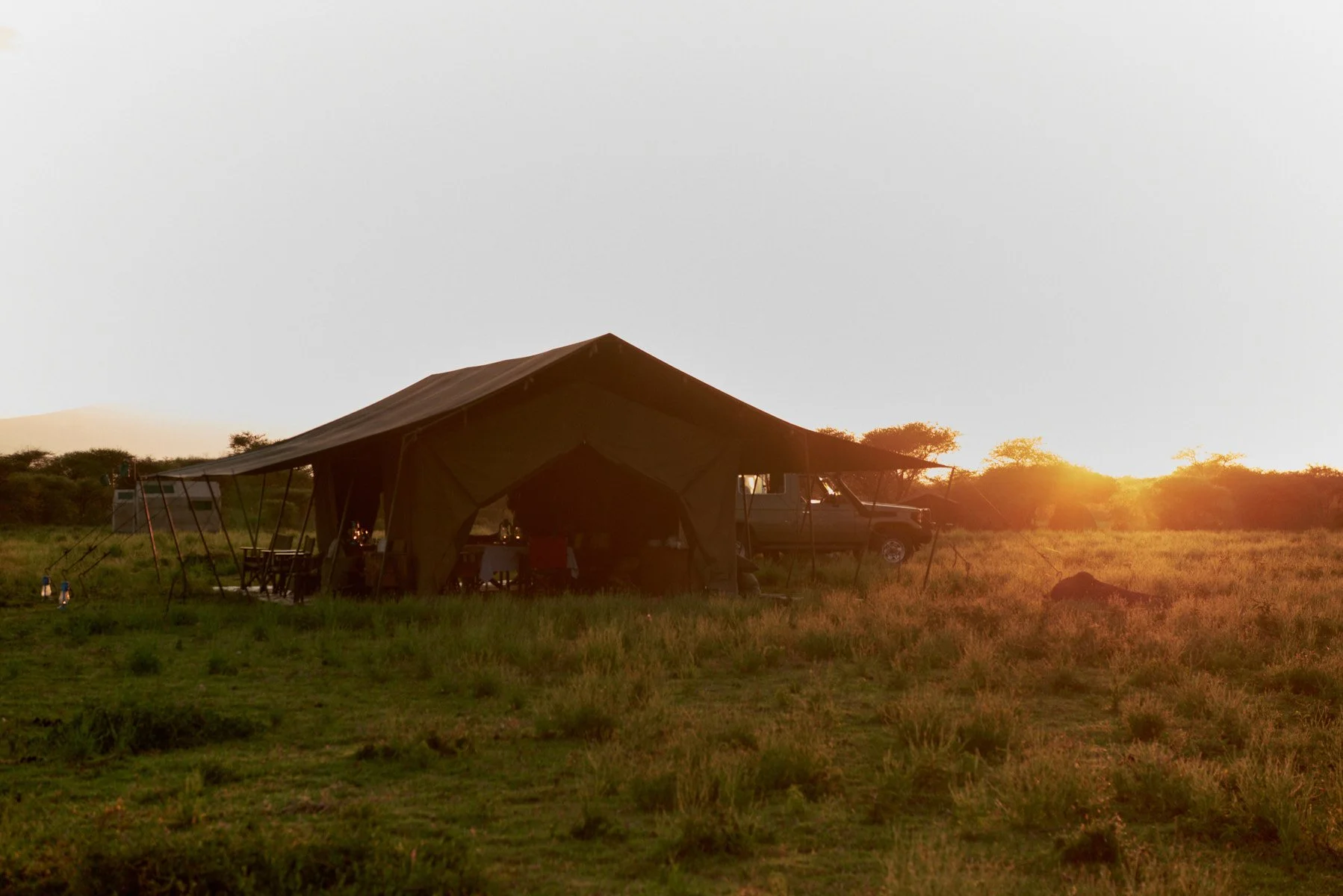 Serengeti_0455.jpg