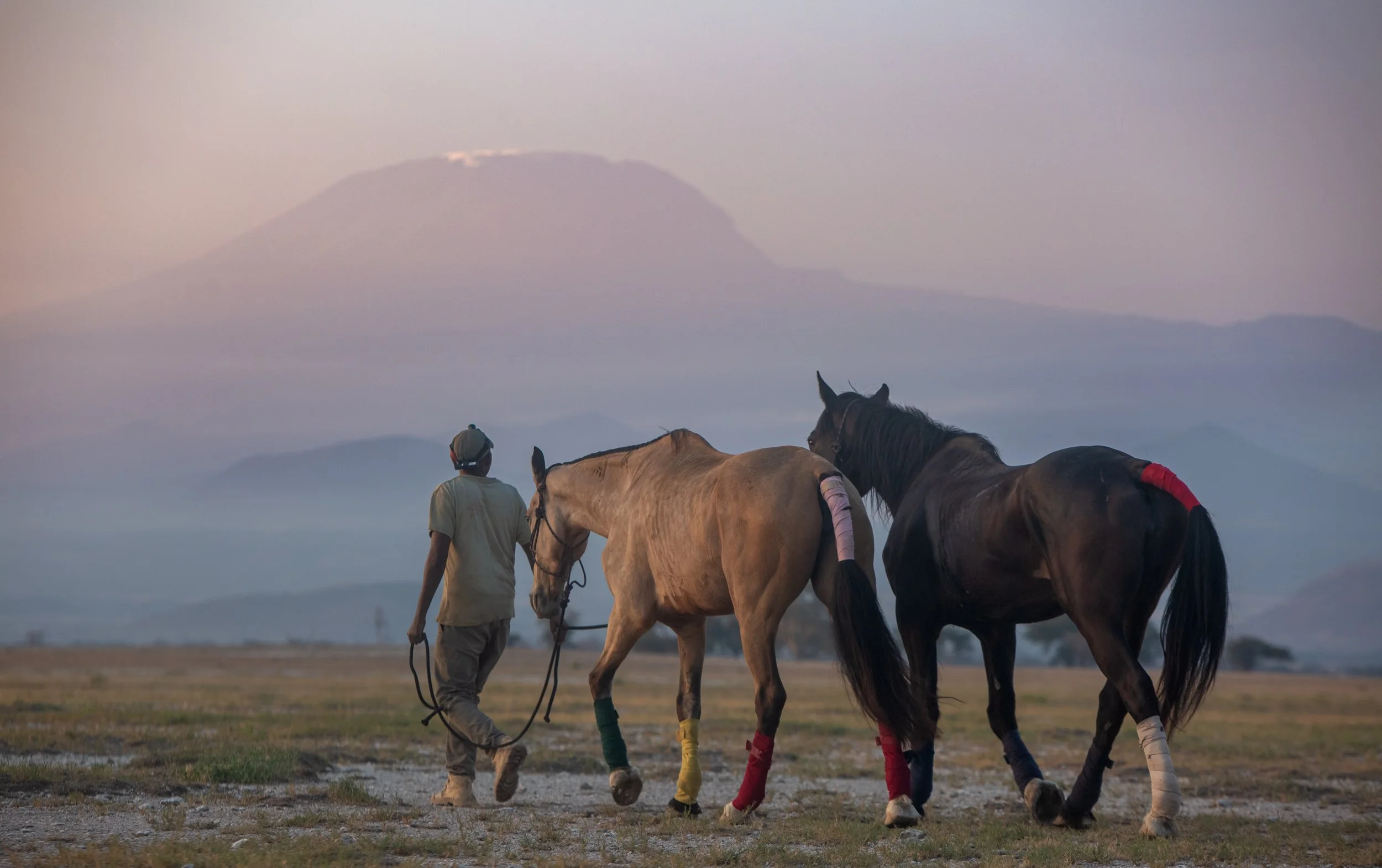 Grooms leading horses at dawn below Mount Kilimanjaro