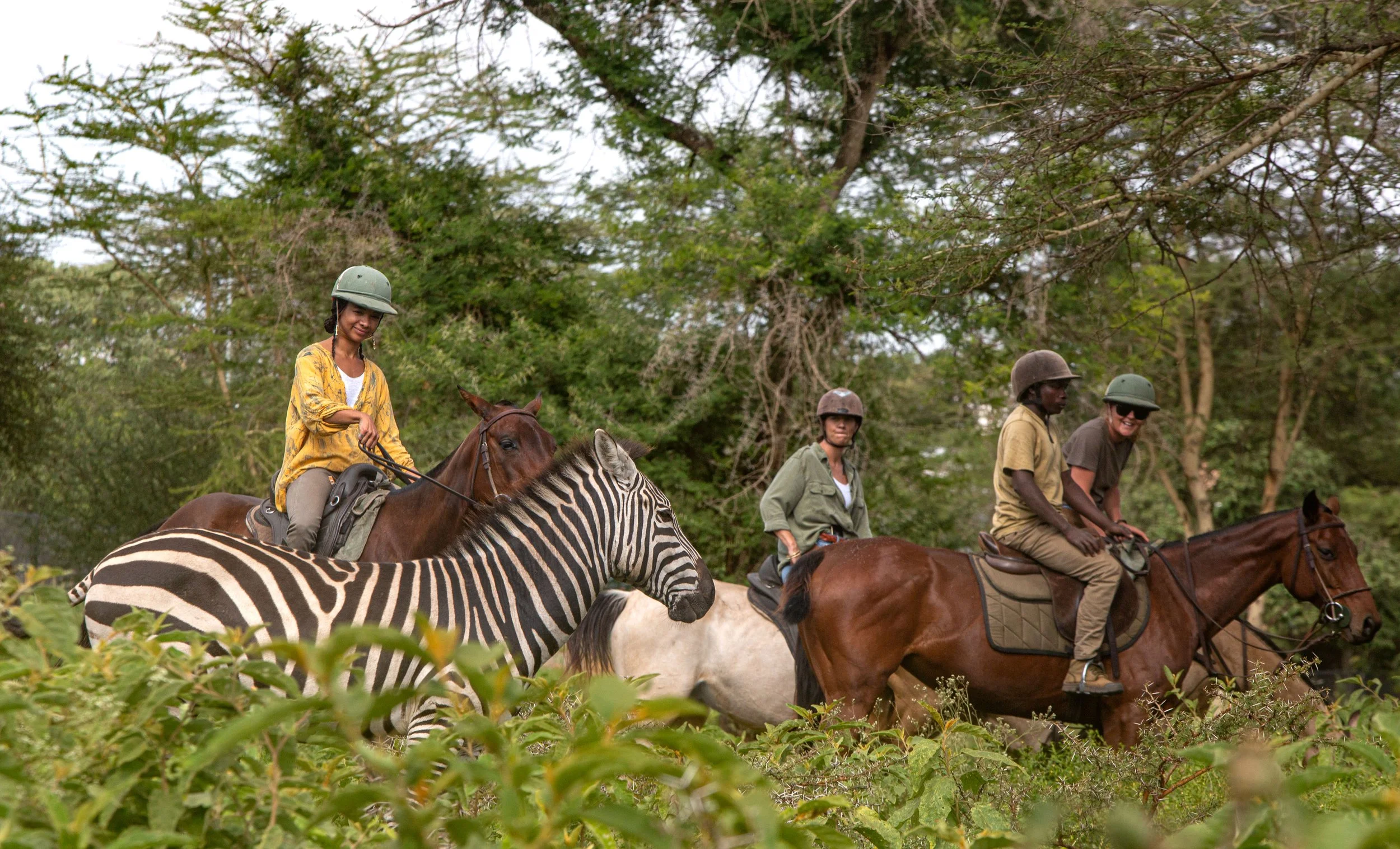 Riders on horseback passing zebras in the bush near Arusha