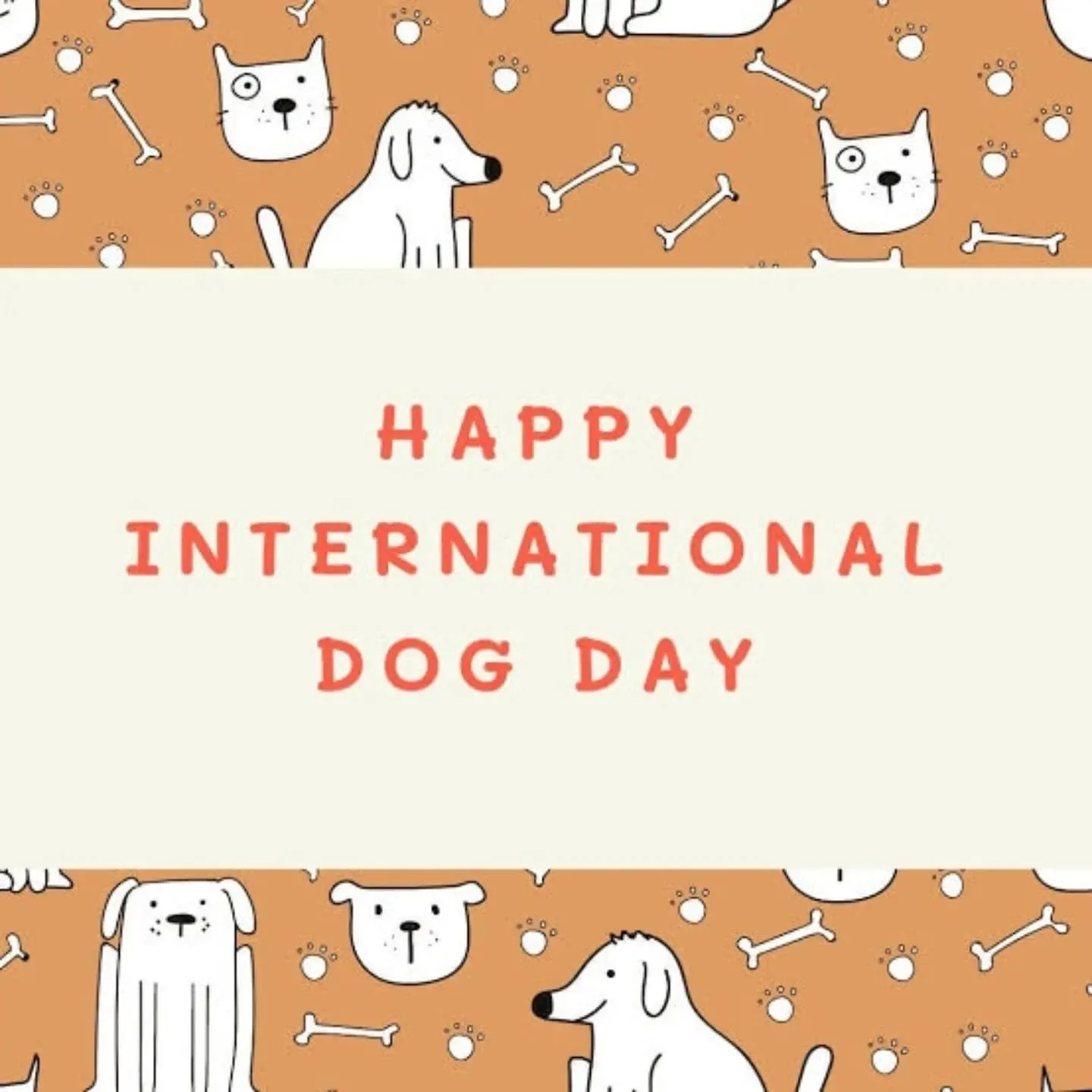 Happy international dog day! 🥳 
Here at hervey bay dog cakes, we celebrate dogs everyday but it's extra special on days like today. Feel like spoiling your fur baby today? Check out our shop 👇🏻 👇🏻 👇🏻 
Give your dogs a big smooch from me! 💋 🐾