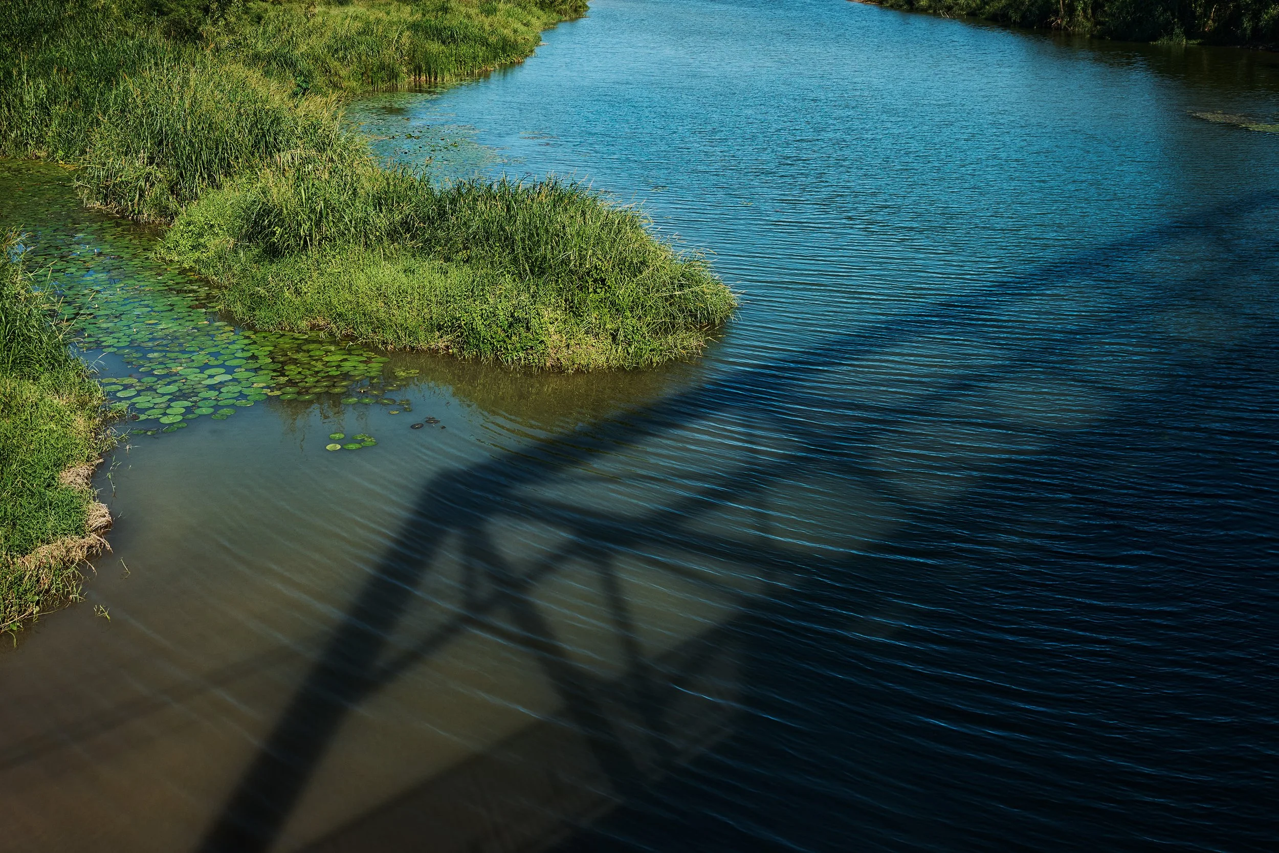Wag Water Shadow