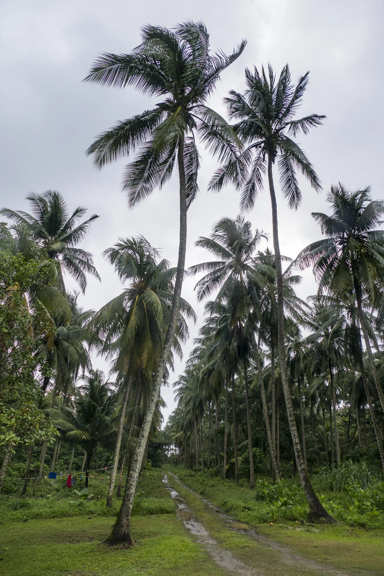 9. Hope Bay-Port Antonio-9081-Enhanced-NR.jpg