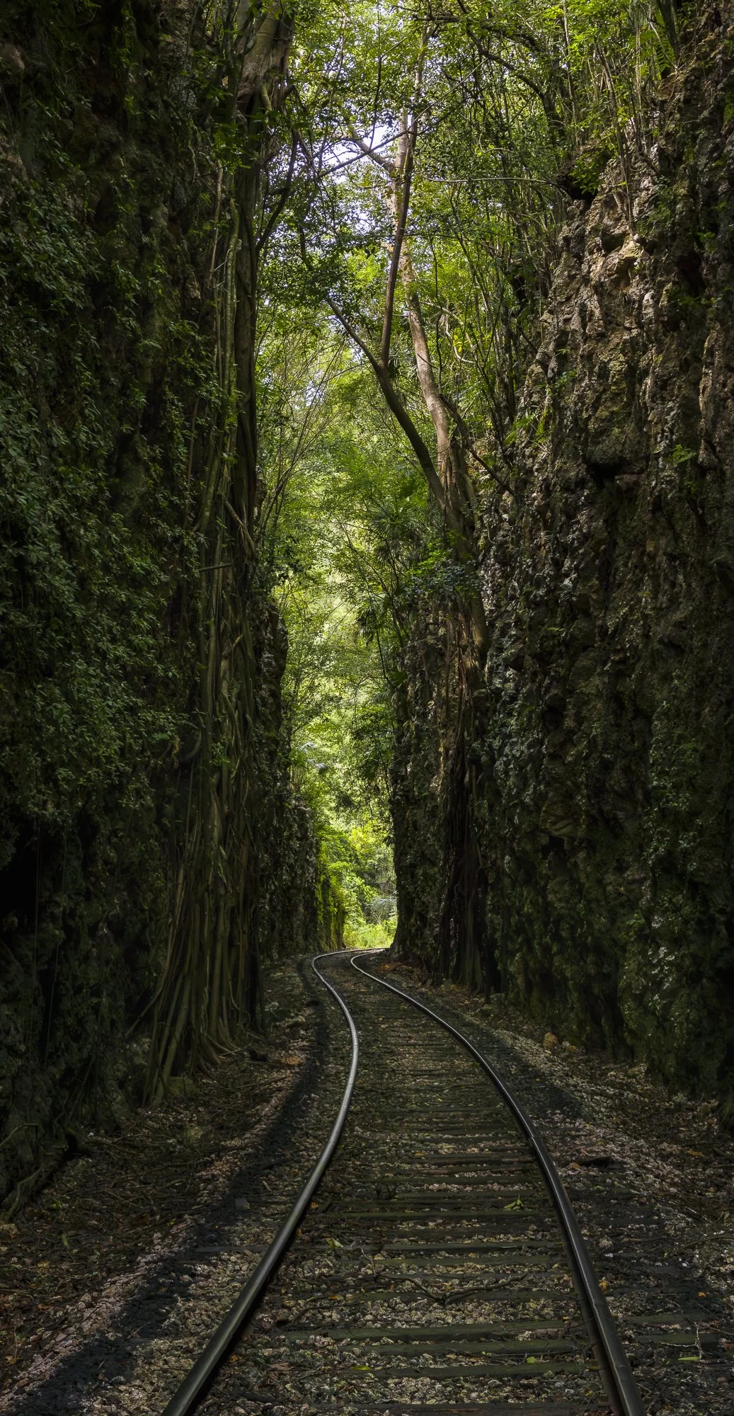 1. Enchanted Railway.jpg