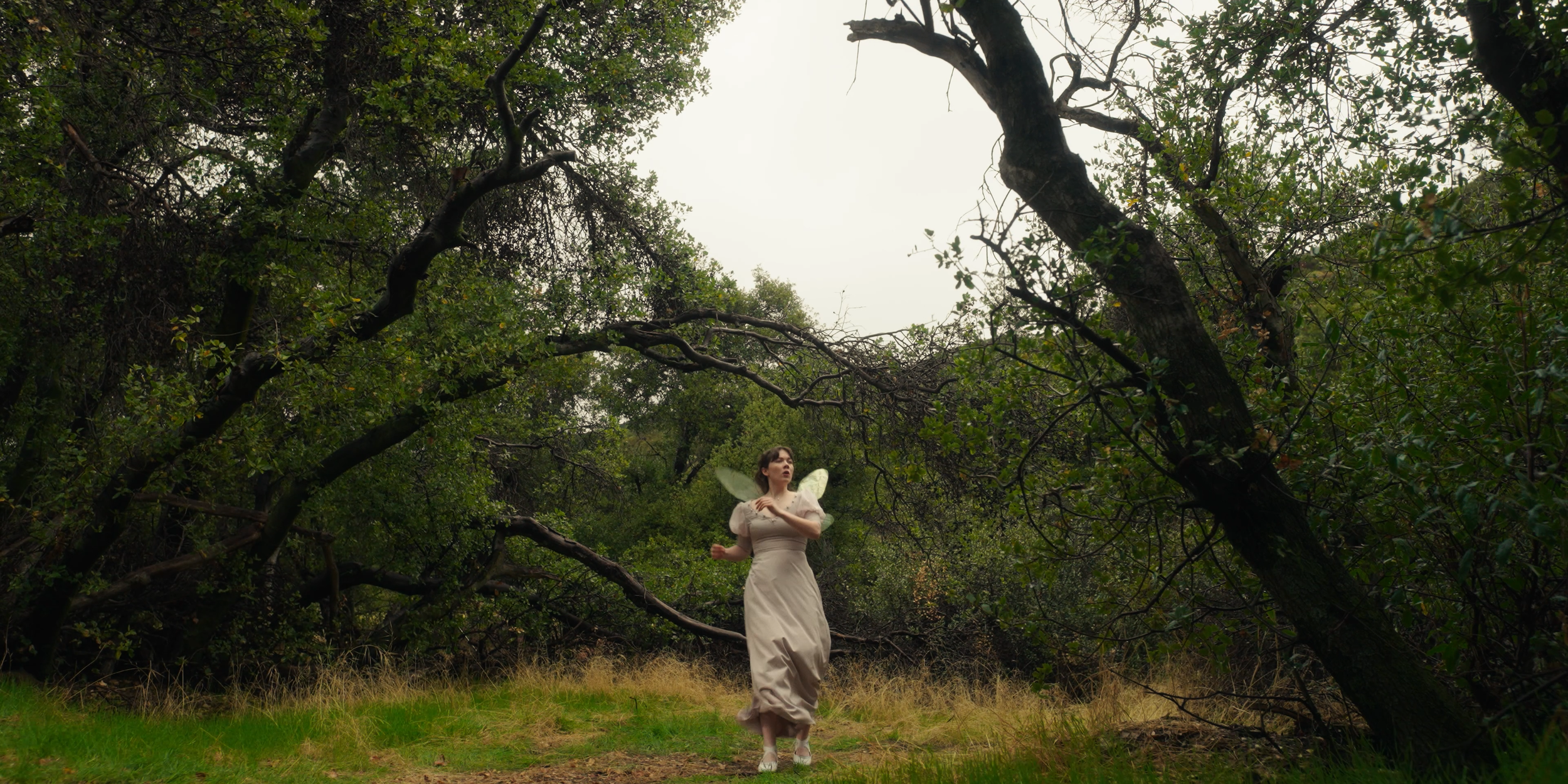 A fairy with butterfly wings standing among trees in a forest, wearing a long beige dress and white sneakers, looking upwards.