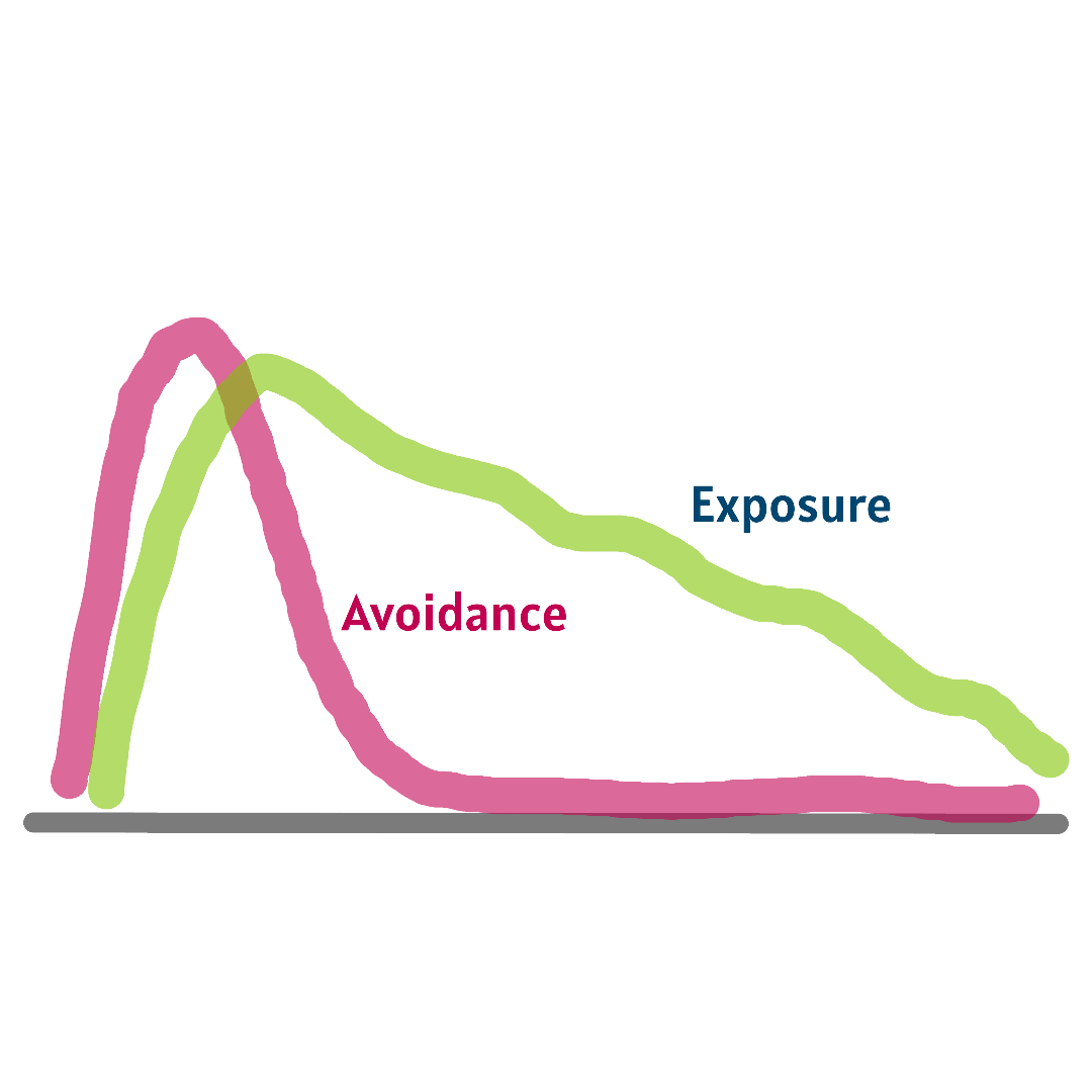 Line graph showing the relationship between avoidance and exposure over time, with avoidance peaking earlier and decreasing rapidly, while exposure peaks slightly later and declines gradually.