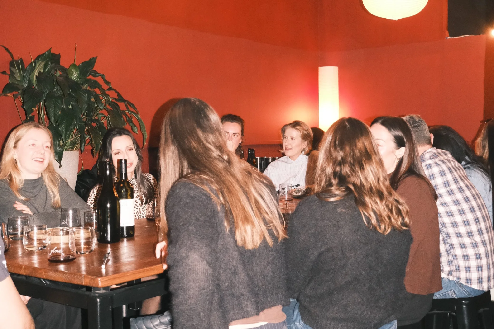 Group of people gathered around a table at a social event, with drinks and bottles on the table, in a warmly lit room with a red wall and a large plant in the background.